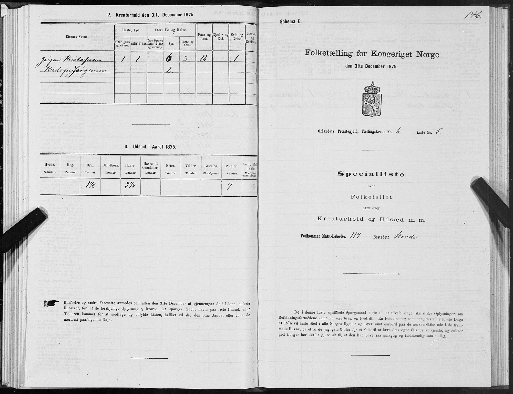 SAT, Folketelling 1875 for 1621P Ørland prestegjeld, 1875, s. 3146