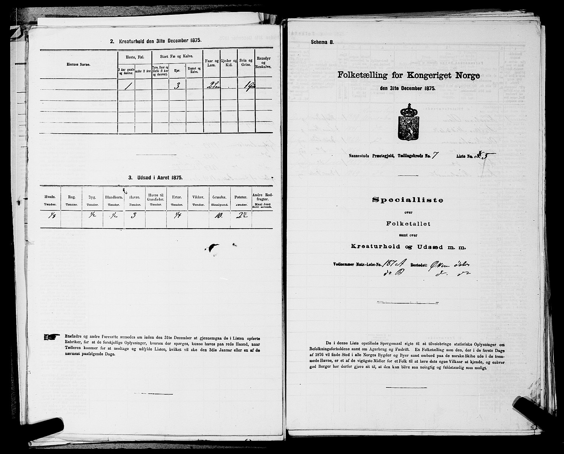 RA, Folketelling 1875 for 0238P Nannestad prestegjeld, 1875, s. 1009