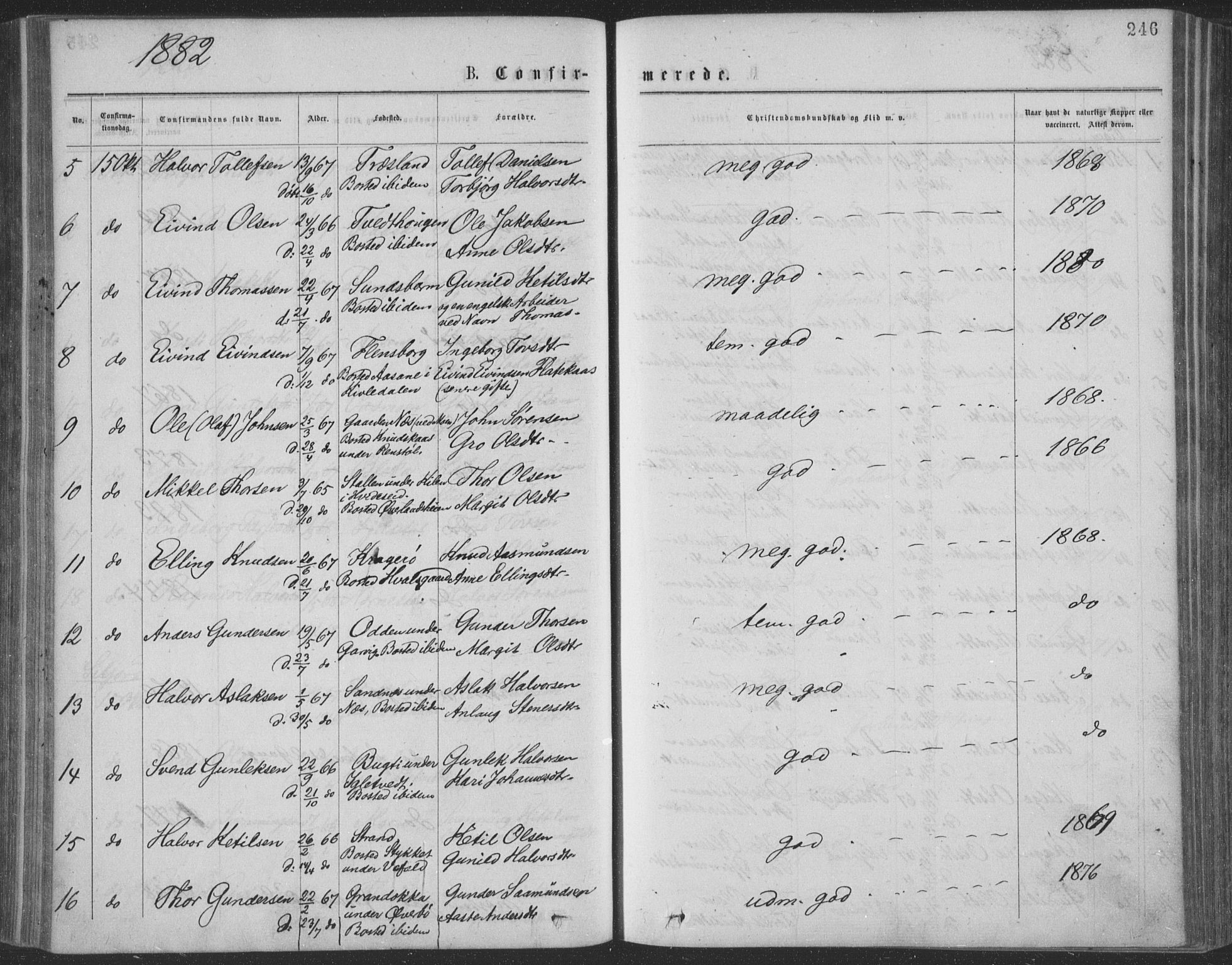 Seljord kirkebøker, AV/SAKO-A-20/F/Fa/L0014: Ministerialbok nr. I 14, 1877-1886, s. 246