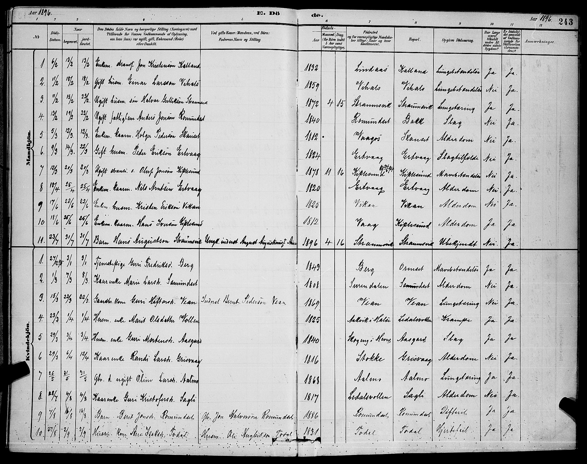 Ministerialprotokoller, klokkerbøker og fødselsregistre - Møre og Romsdal, AV/SAT-A-1454/578/L0909: Klokkerbok nr. 578C02, 1882-1900, s. 243