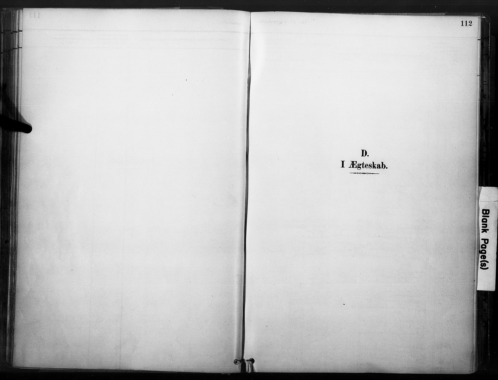 Åmli sokneprestkontor, SAK/1111-0050/F/Fa/Fac/L0010: Ministerialbok nr. A 10 /1, 1885-1899, s. 112