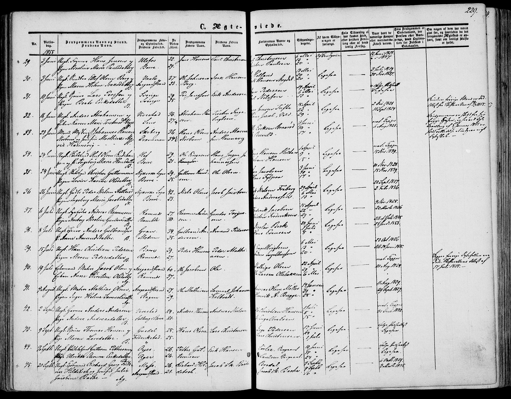 Borre kirkebøker, AV/SAKO-A-338/F/Fa/L0006: Ministerialbok nr. I 6, 1852-1862, s. 229
