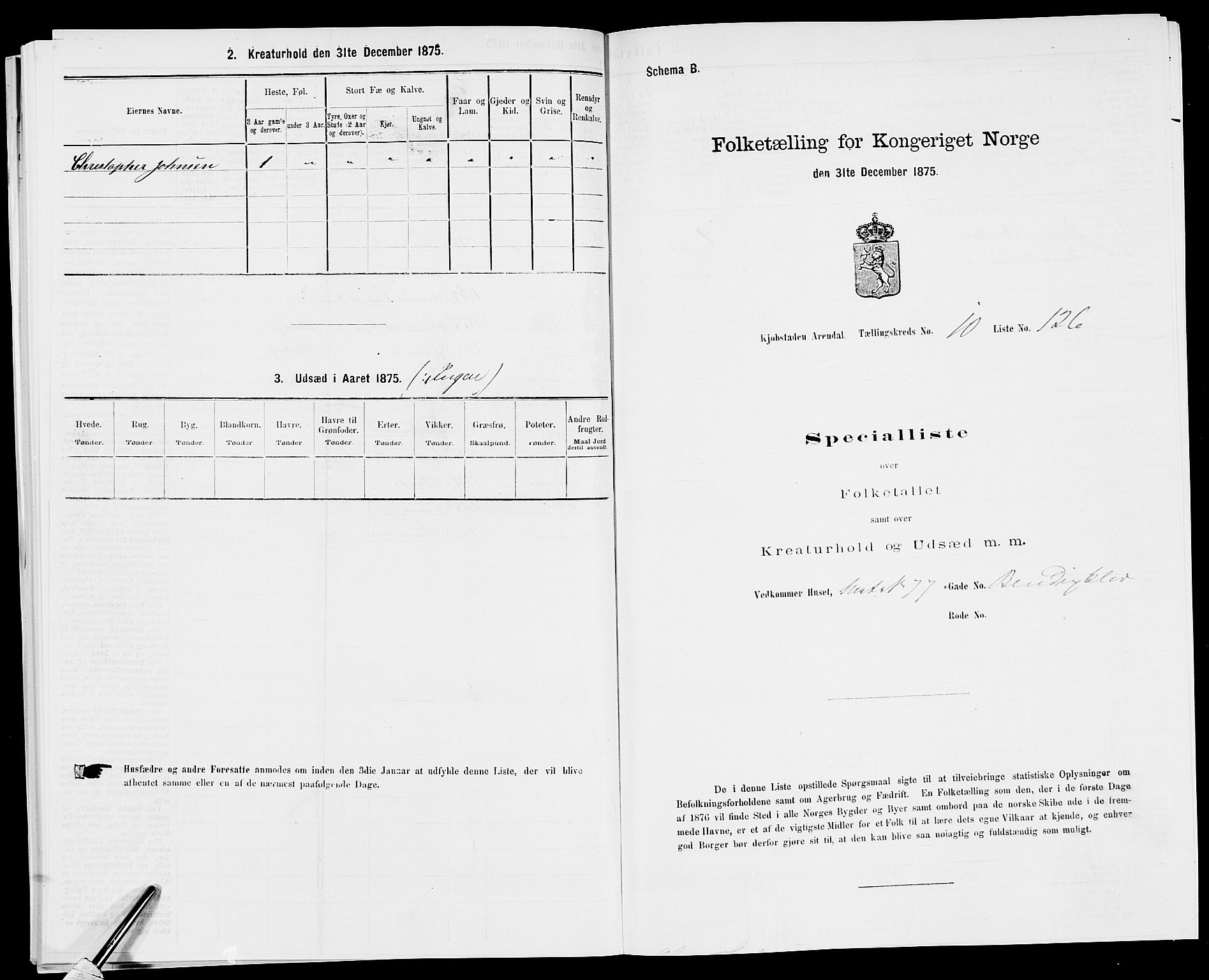 SAK, Folketelling 1875 for 0903P Arendal prestegjeld, 1875, s. 302