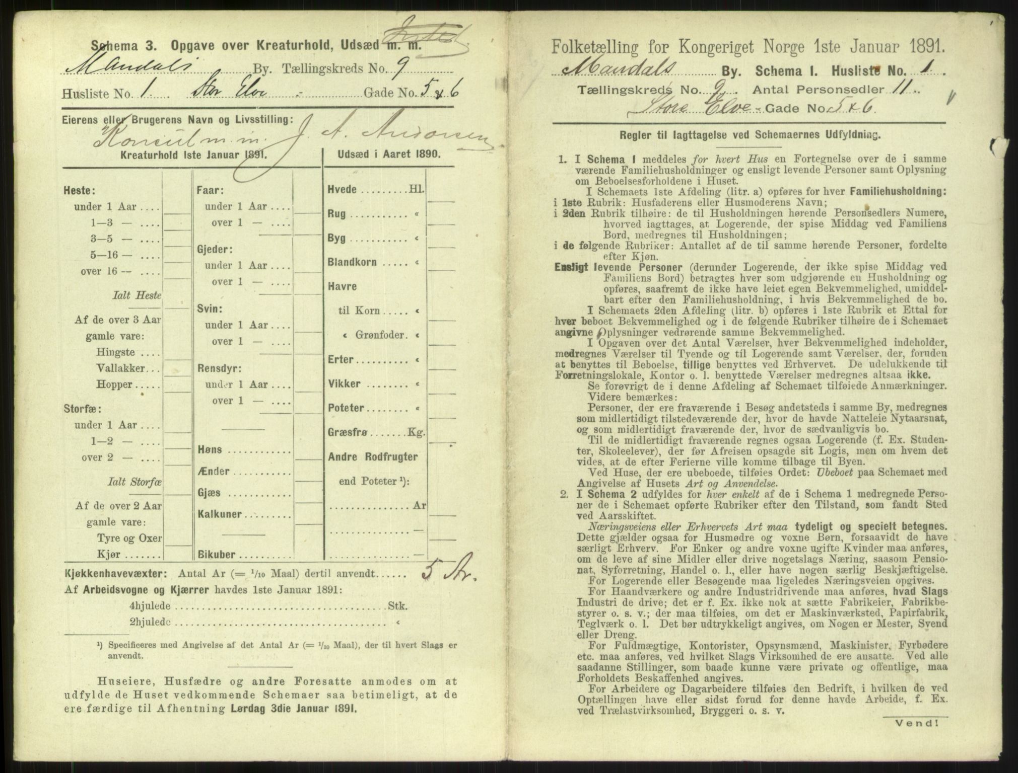 RA, Folketelling 1891 for 1002 Mandal ladested, 1891, s. 443