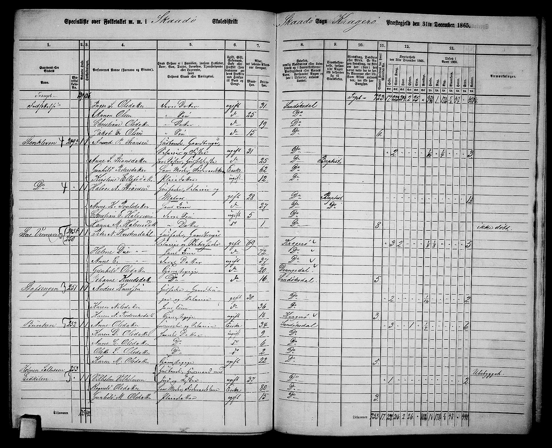 RA, Folketelling 1865 for 0816L Kragerø prestegjeld, Sannidal sokn og Skåtøy sokn, 1865, s. 207