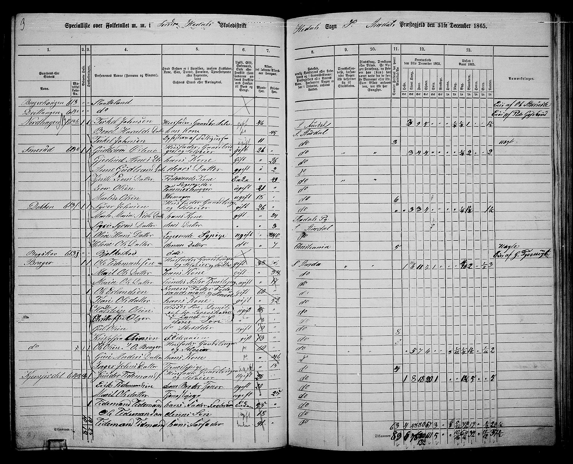 RA, Folketelling 1865 for 0540P Sør-Aurdal prestegjeld, 1865, s. 170