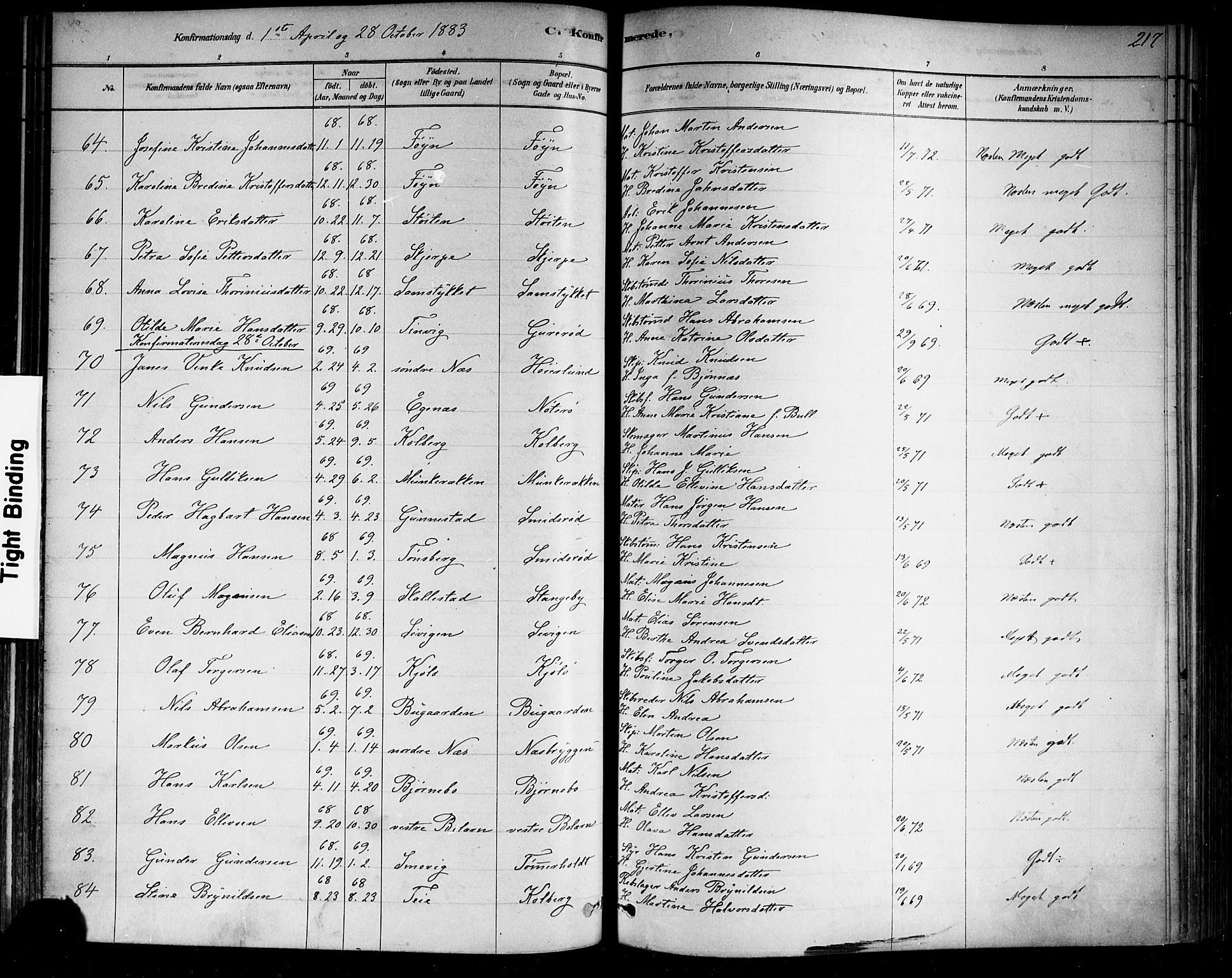 Nøtterøy kirkebøker, AV/SAKO-A-354/F/Fa/L0008: Ministerialbok nr. I 8, 1878-1893, s. 217