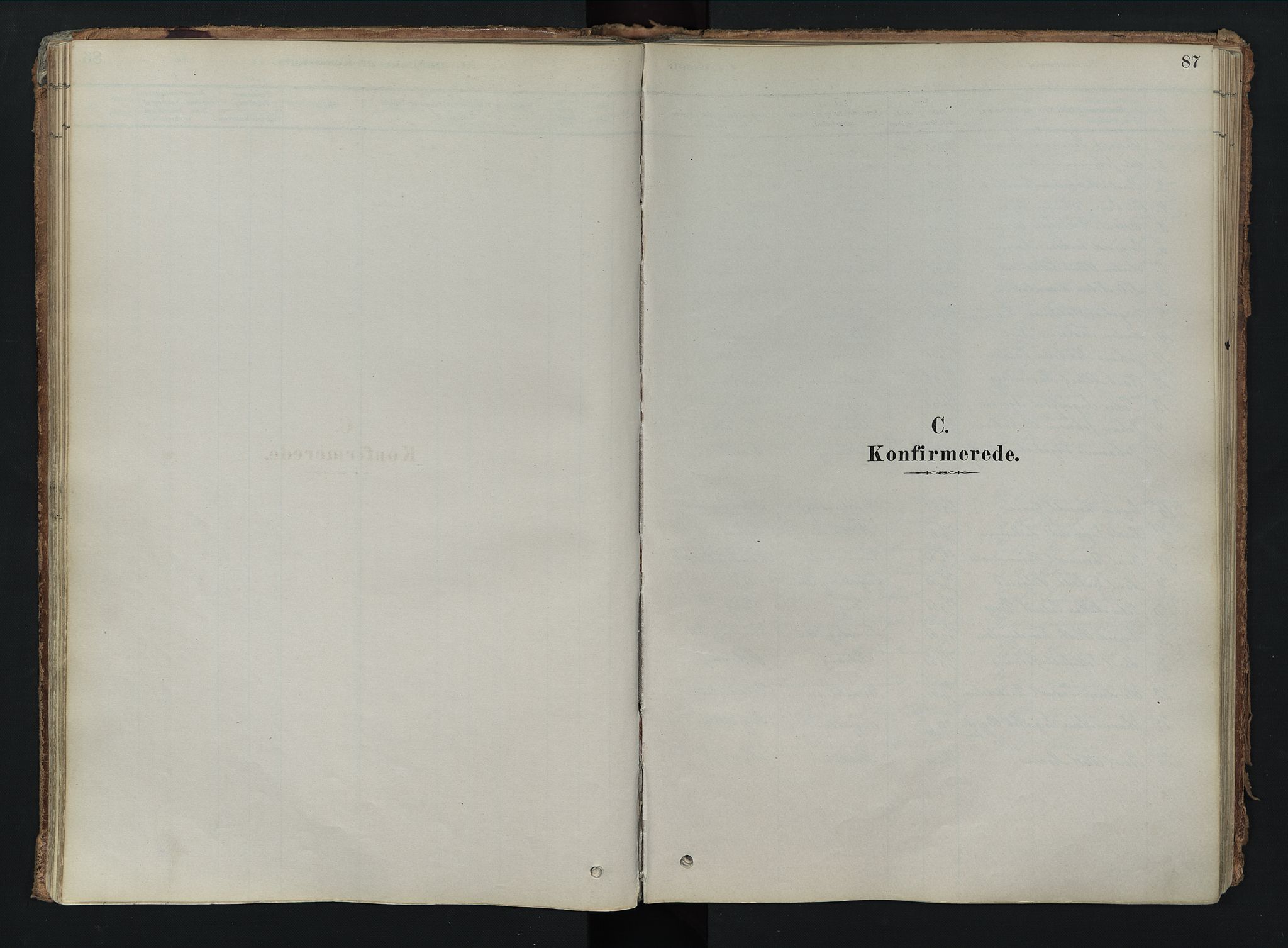 Tolga prestekontor, AV/SAH-PREST-062/K/L0008: Ministerialbok nr. 8, 1877-1910, s. 87