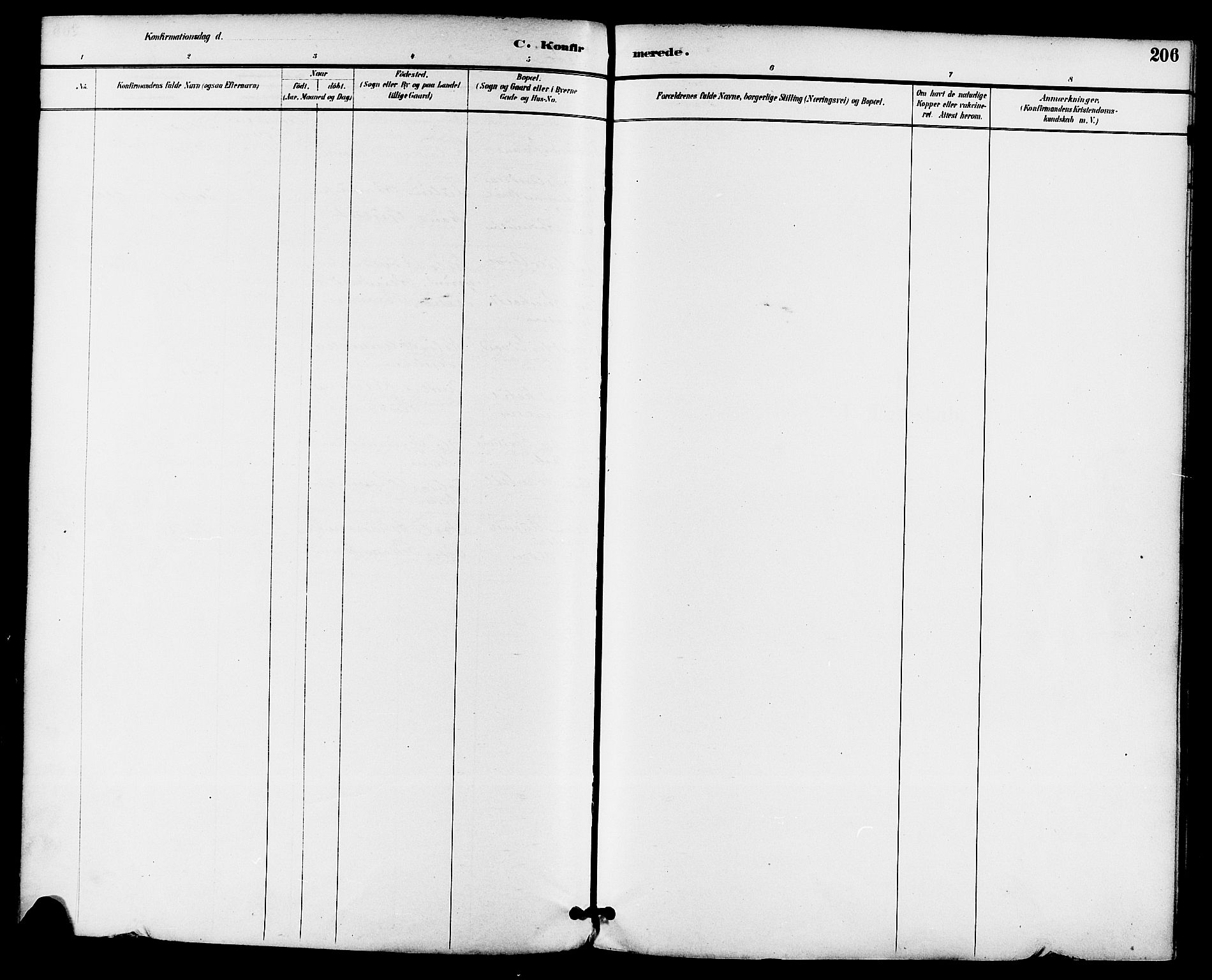 Gjerpen kirkebøker, SAKO/A-265/F/Fa/L0010: Ministerialbok nr. I 10, 1886-1895, s. 206