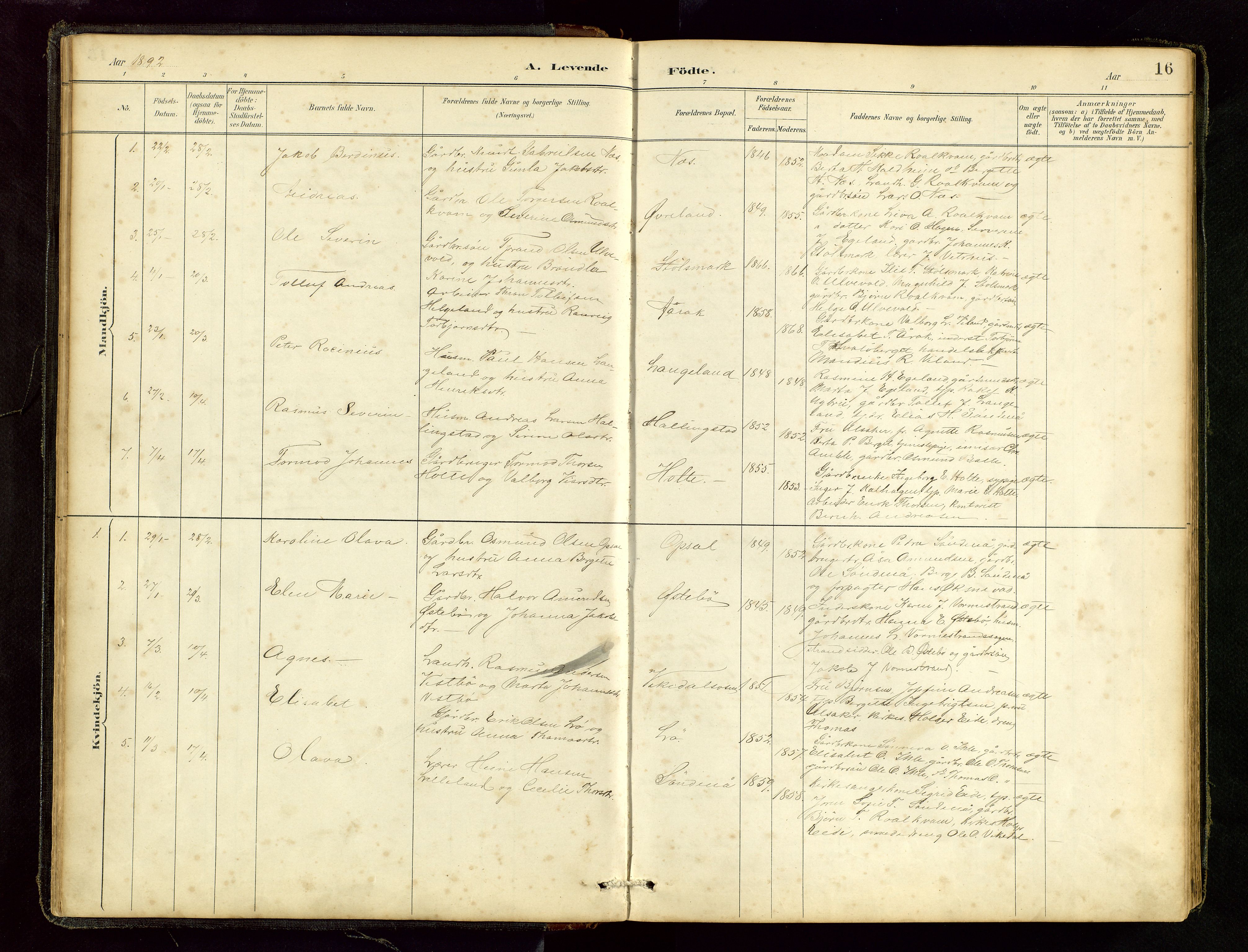 Vikedal sokneprestkontor, AV/SAST-A-101840/01/V: Klokkerbok nr. B 6, 1889-1956, s. 16