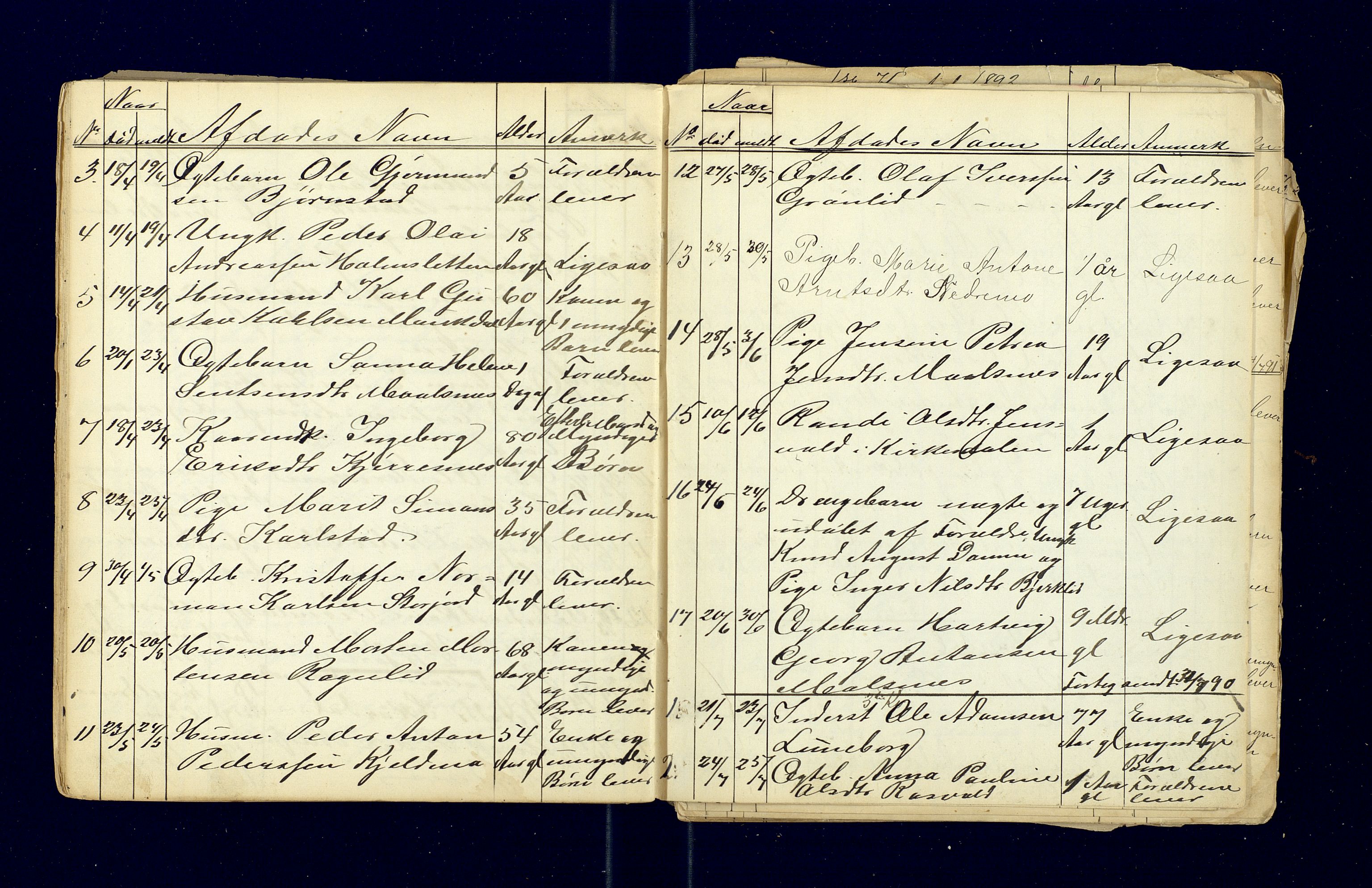 Målselv lensmannskontor, AV/SATØ-SATØ-68/F/Fi/Fia/L0167/0001: Dødsfallsprotokoller og dødsfallsmeldinger. / Dødsfallsprotokoller 1863-1972, 1863-1893