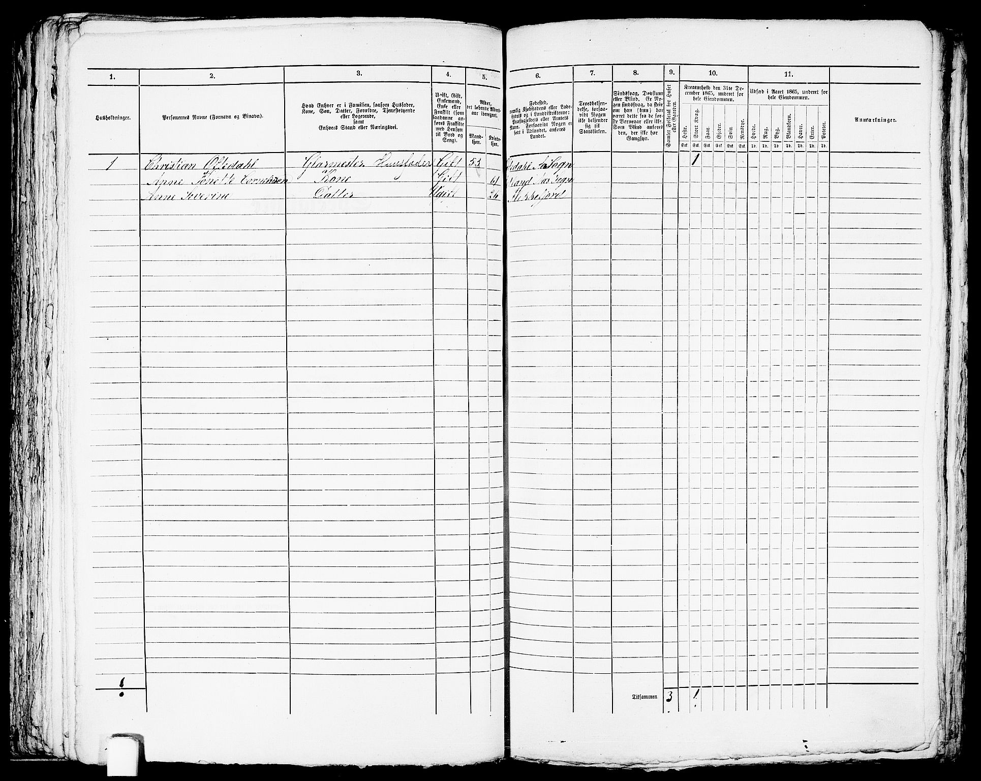 RA, Folketelling 1865 for 1004B Flekkefjord prestegjeld, Flekkefjord kjøpstad, 1865, s. 203