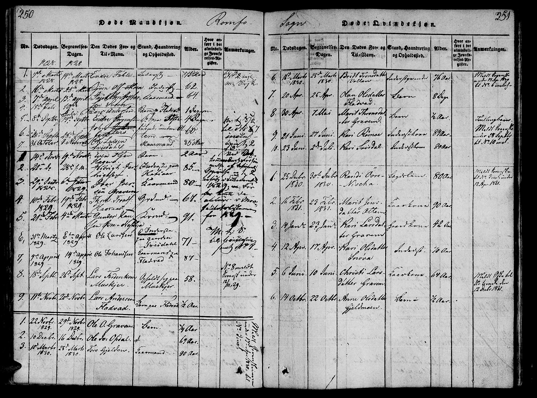 Ministerialprotokoller, klokkerbøker og fødselsregistre - Møre og Romsdal, AV/SAT-A-1454/590/L1010: Ministerialbok nr. 590A03 /2, 1820-1832, s. 250-251