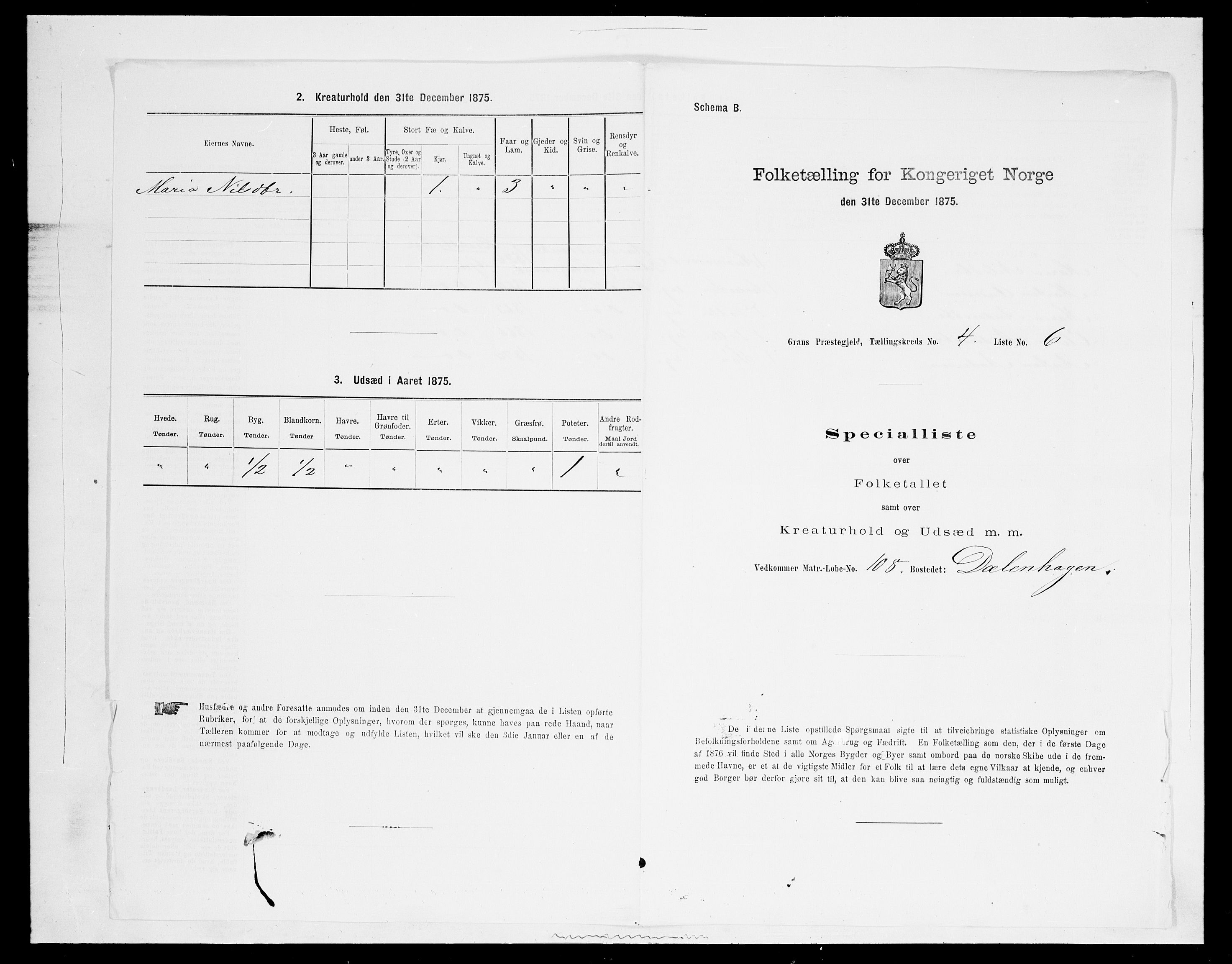 SAH, Folketelling 1875 for 0534P Gran prestegjeld, 1875, s. 555