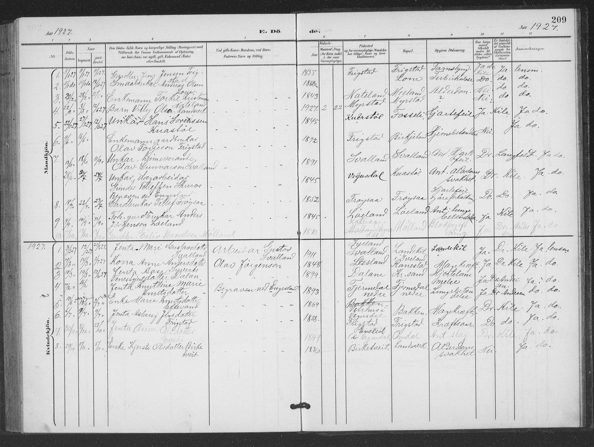 Evje sokneprestkontor, AV/SAK-1111-0008/F/Fb/Fbc/L0005: Klokkerbok nr. B 5, 1901-1935, s. 209