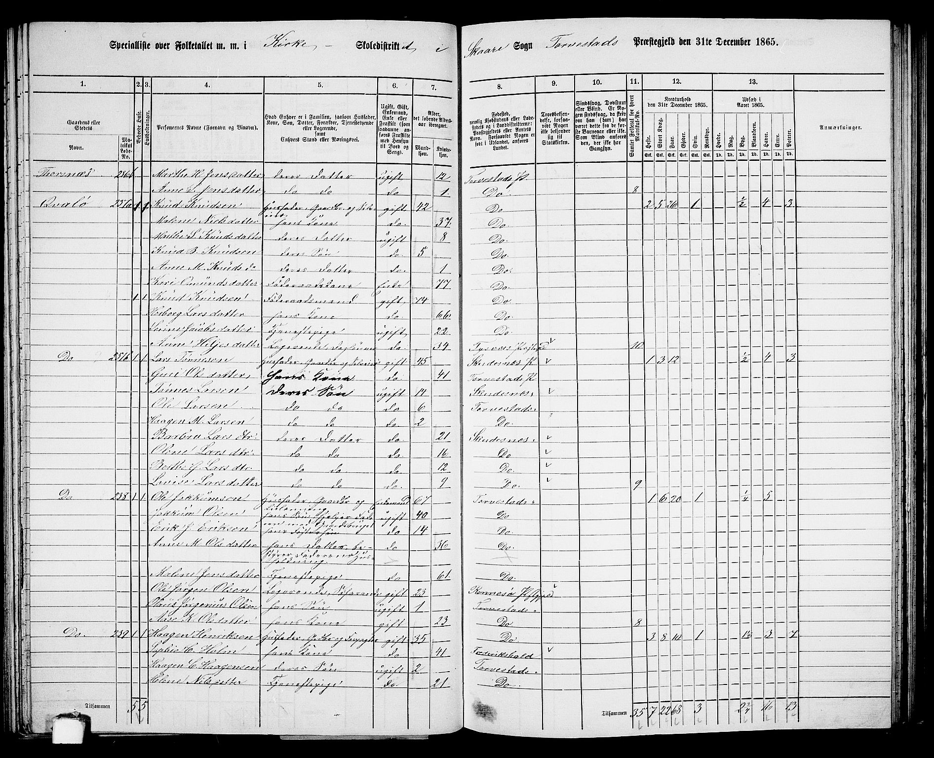 RA, Folketelling 1865 for 1152L Torvastad prestegjeld, Torvastad sokn, Skåre sokn og Utsira sokn, 1865, s. 77