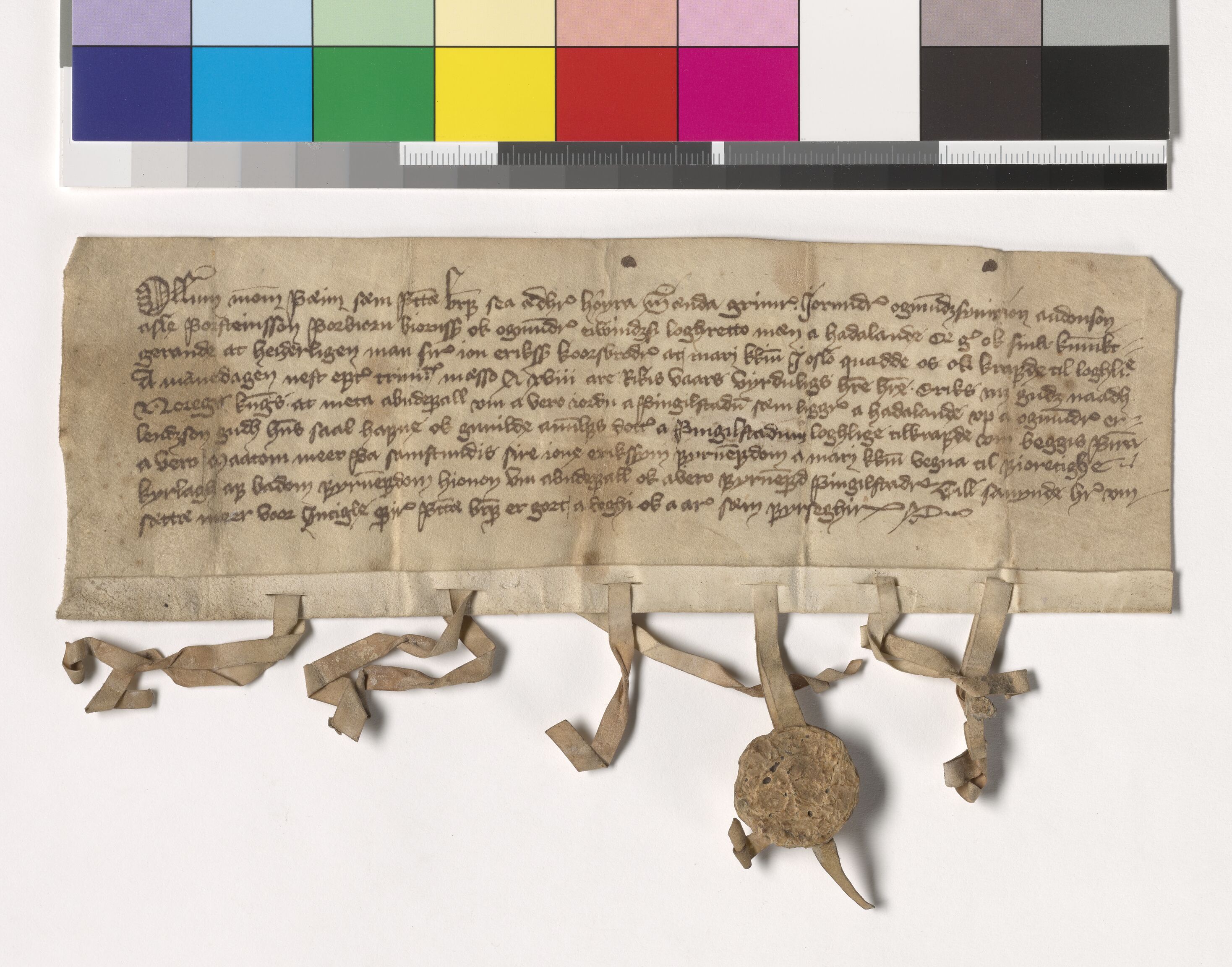 Riksarkivets diplomsamling, AV/RA-EA-5965/F05/L0203: NRA AM fasc. 83 nr. 6-15, 1405-1407, s. 11