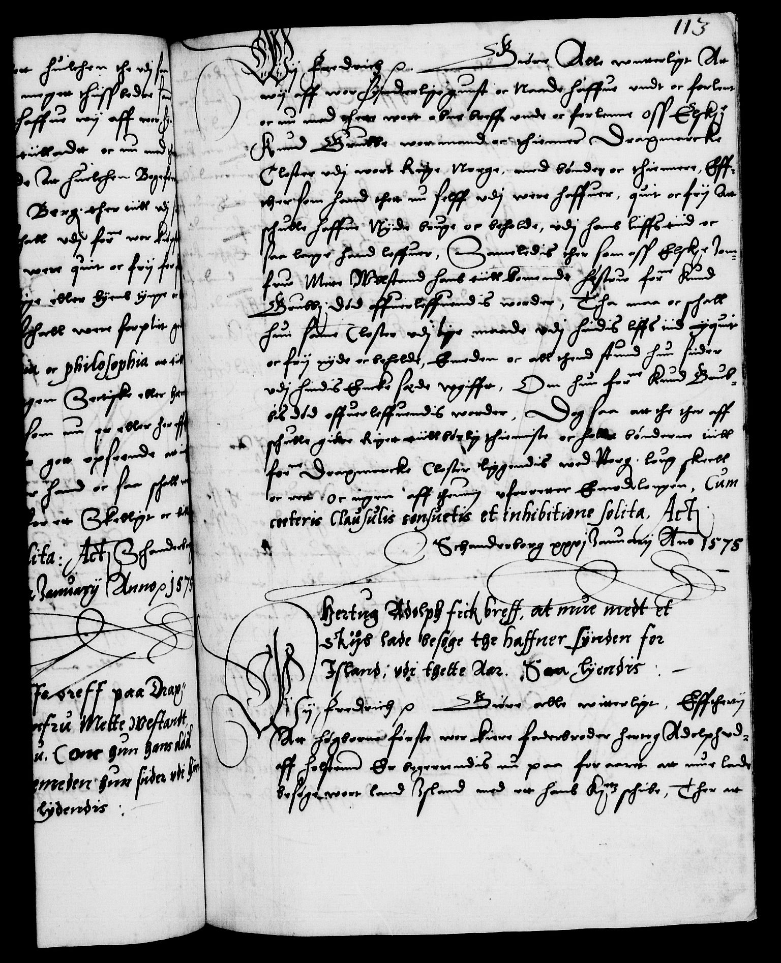 Danske Kanselli 1572-1799, RA/EA-3023/F/Fc/Fca/Fcaa/L0001: Norske registre (mikrofilm), 1572-1588, s. 113a