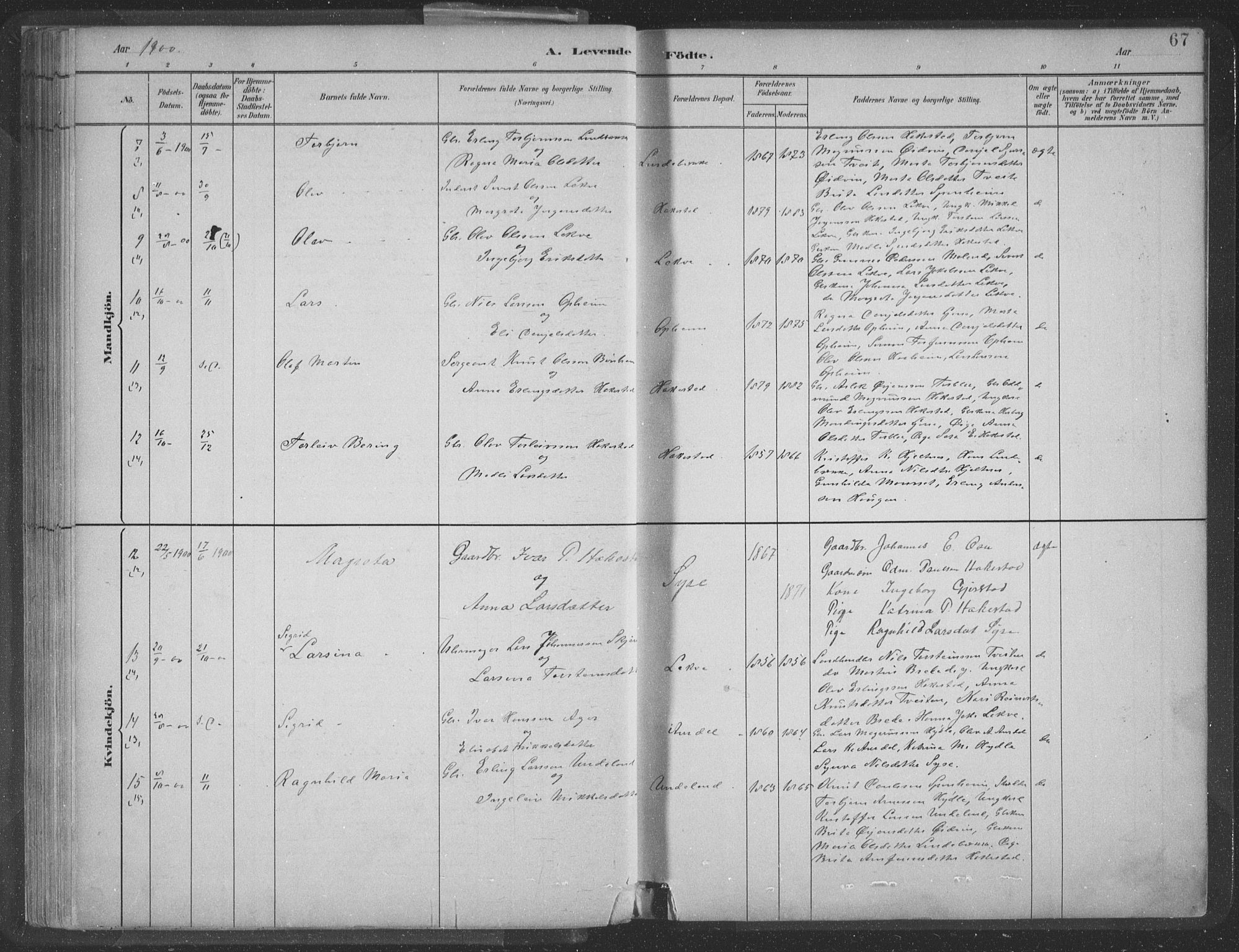 Ulvik sokneprestembete, AV/SAB-A-78801/H/Hab: Klokkerbok nr. A 3, 1883-1908, s. 67