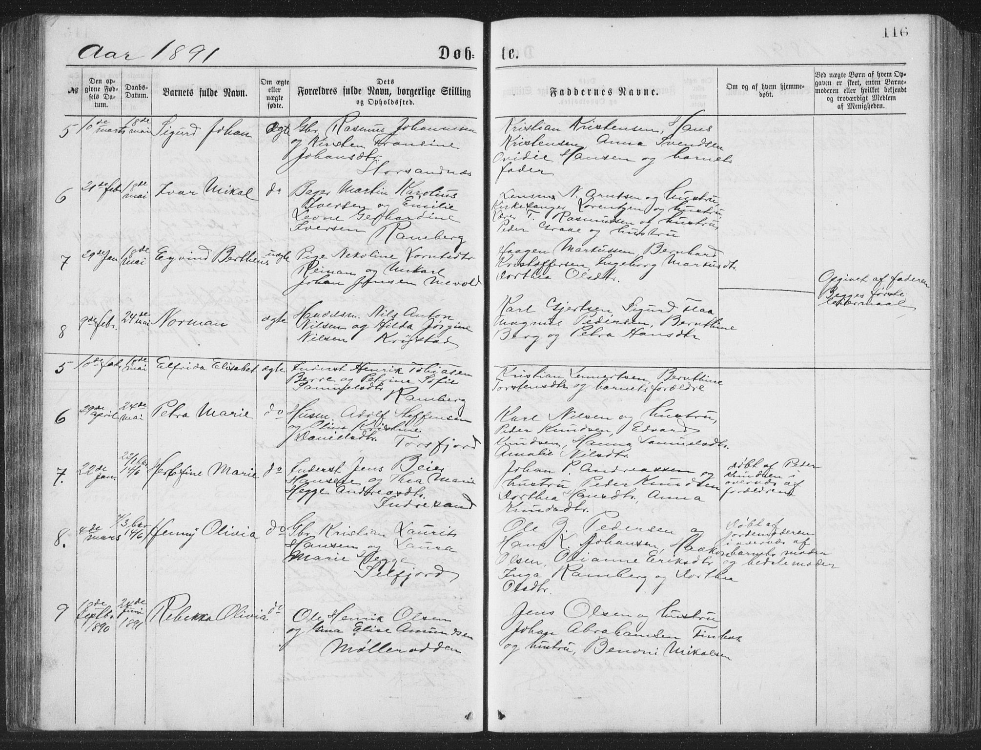 Ministerialprotokoller, klokkerbøker og fødselsregistre - Nordland, AV/SAT-A-1459/885/L1213: Klokkerbok nr. 885C02, 1874-1892, s. 116