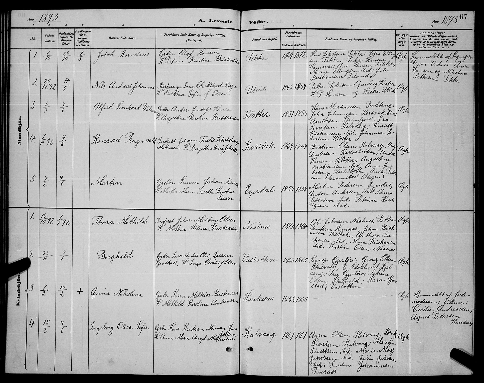 Ministerialprotokoller, klokkerbøker og fødselsregistre - Nordland, AV/SAT-A-1459/859/L0859: Klokkerbok nr. 859C05, 1887-1898, s. 67