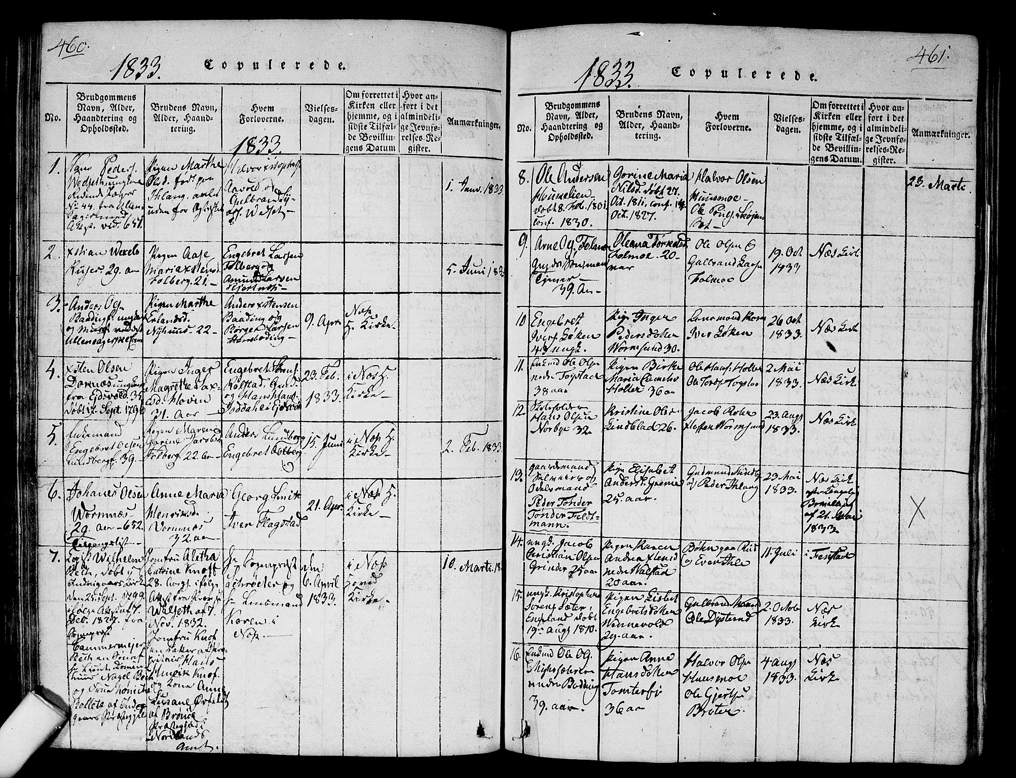 Nes prestekontor Kirkebøker, AV/SAO-A-10410/G/Ga/L0001: Klokkerbok nr. I 1, 1815-1835, s. 460-461