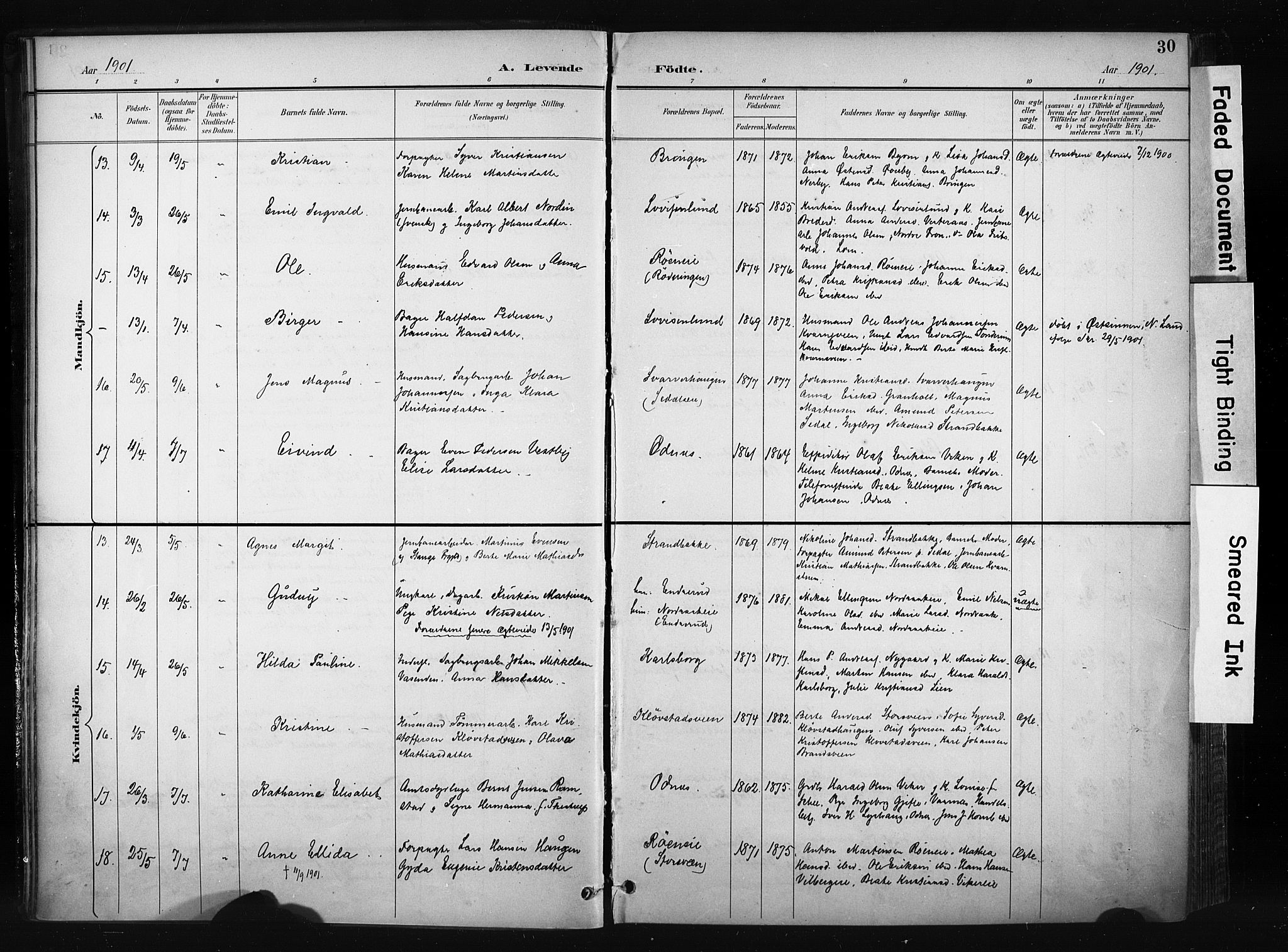 Søndre Land prestekontor, AV/SAH-PREST-122/K/L0004: Ministerialbok nr. 4, 1895-1904, s. 30