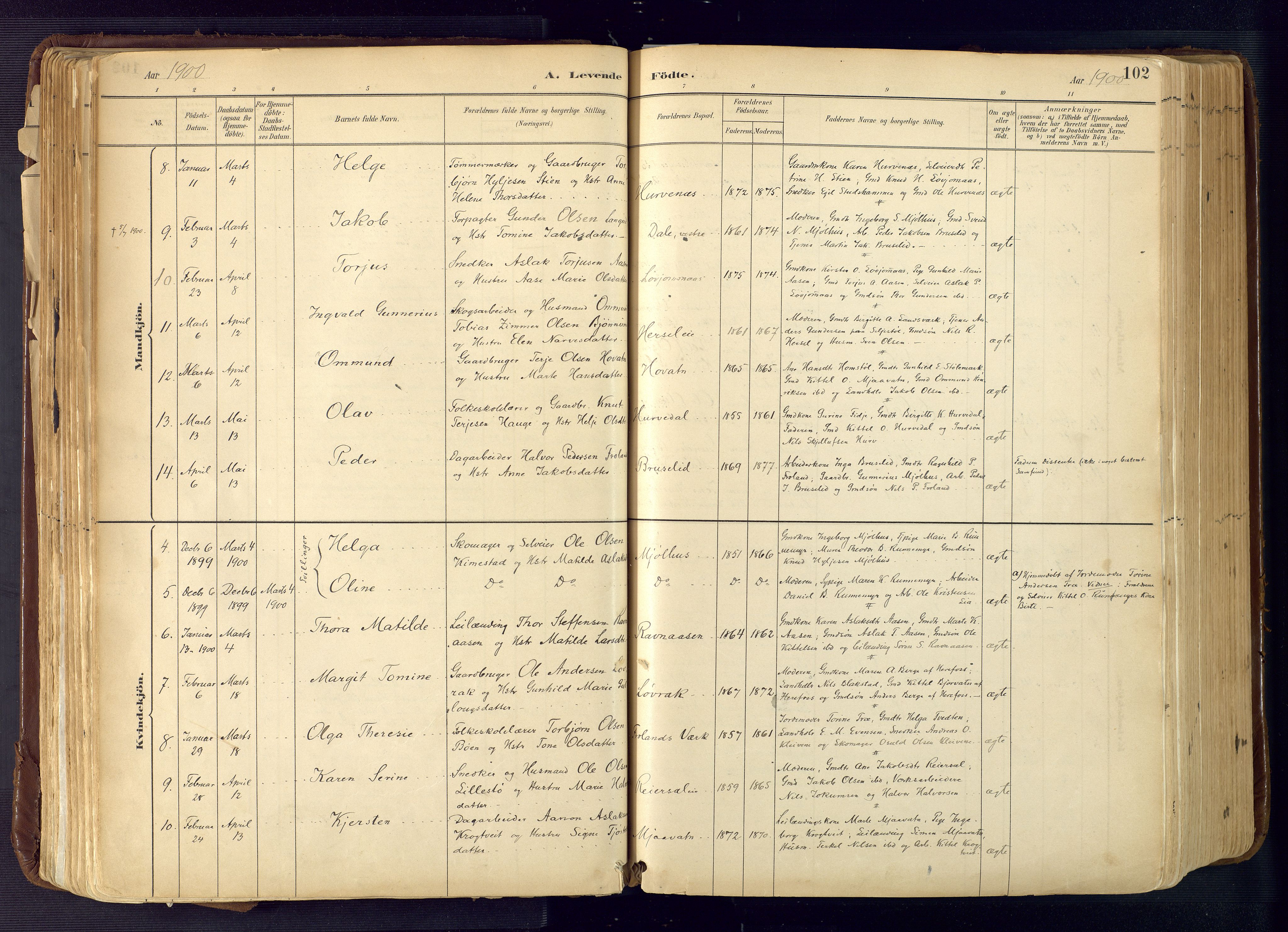 Froland sokneprestkontor, AV/SAK-1111-0013/F/Fa/L0005: Ministerialbok nr. A 5, 1882-1921, s. 102