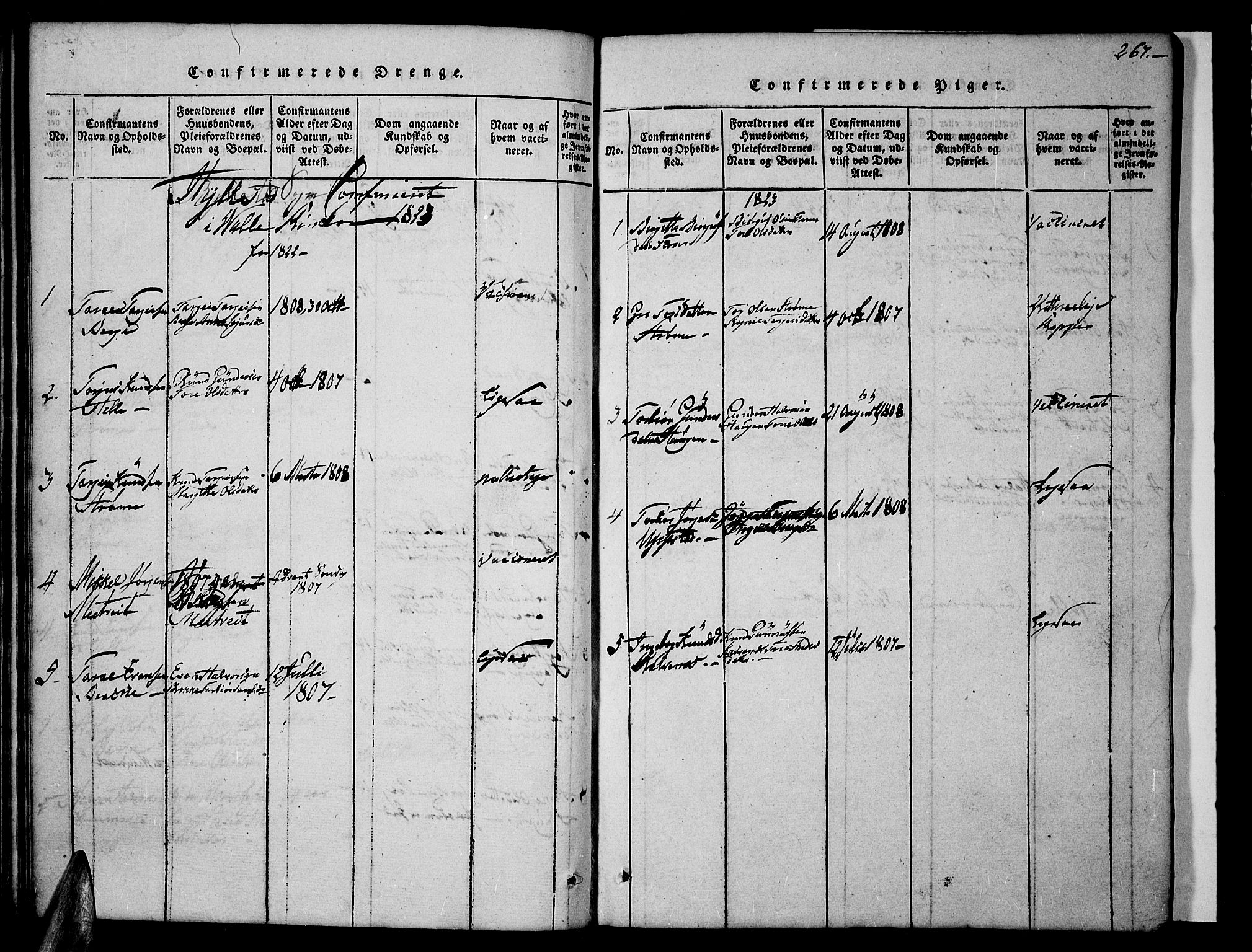 Valle sokneprestkontor, AV/SAK-1111-0044/F/Fb/Fbc/L0001: Klokkerbok nr. B 1 /2, 1816-1829, s. 267