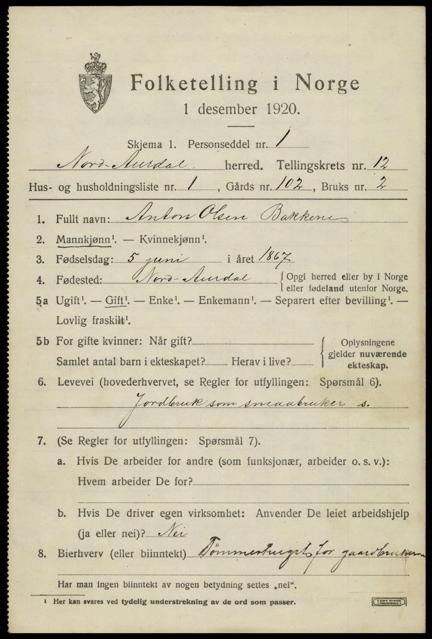 SAH, Folketelling 1920 for 0542 Nord-Aurdal herred, 1920, s. 9884