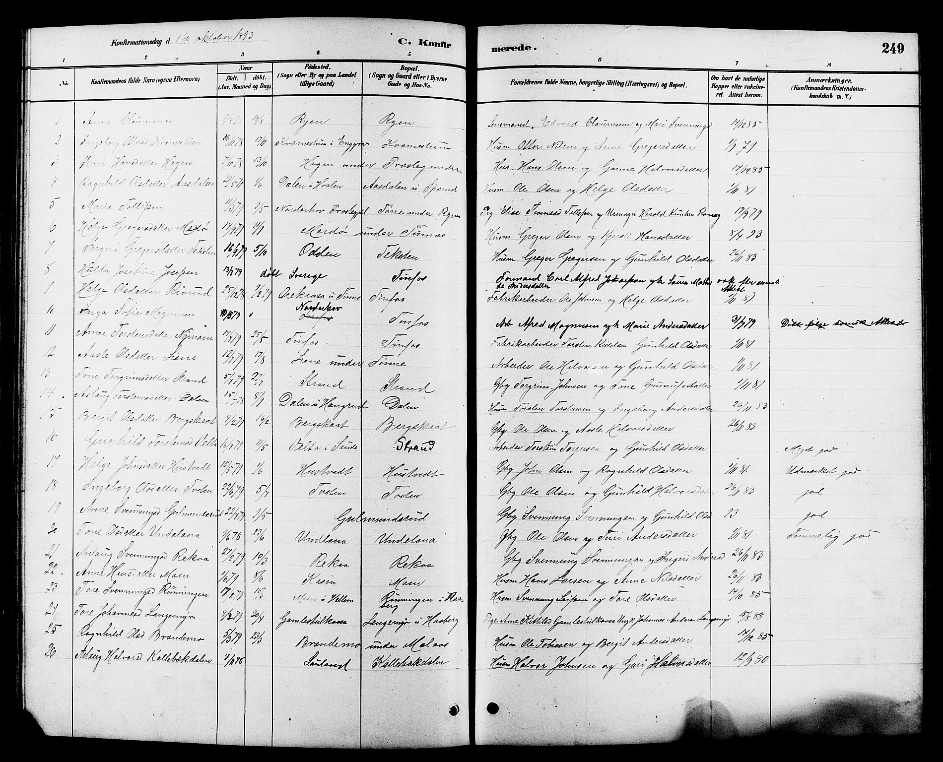 Heddal kirkebøker, AV/SAKO-A-268/G/Ga/L0002: Klokkerbok nr. I 2, 1879-1908, s. 249