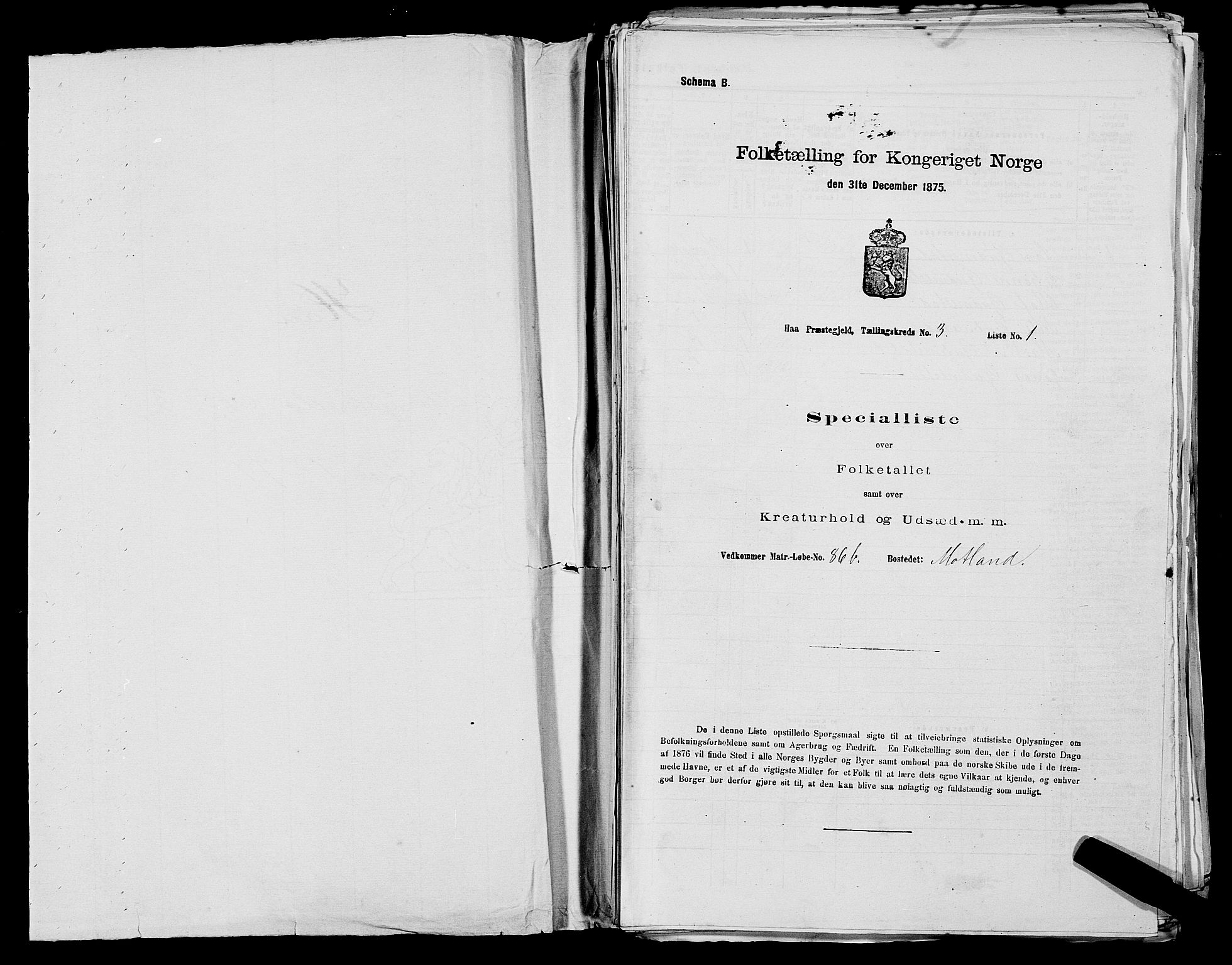 SAST, Folketelling 1875 for 1119P Hå prestegjeld, 1875, s. 319