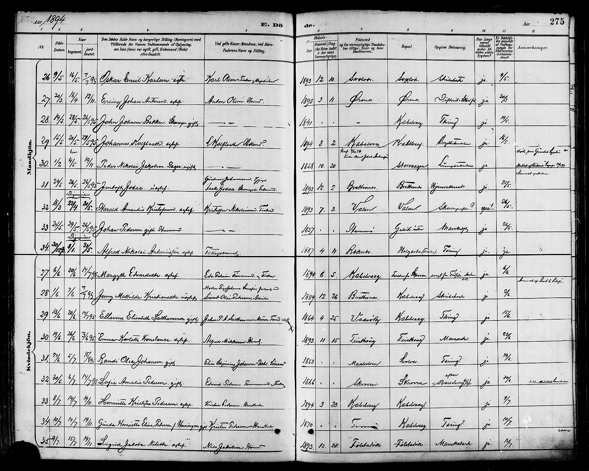 Ministerialprotokoller, klokkerbøker og fødselsregistre - Nordland, SAT/A-1459/874/L1060: Ministerialbok nr. 874A04, 1890-1899, s. 275