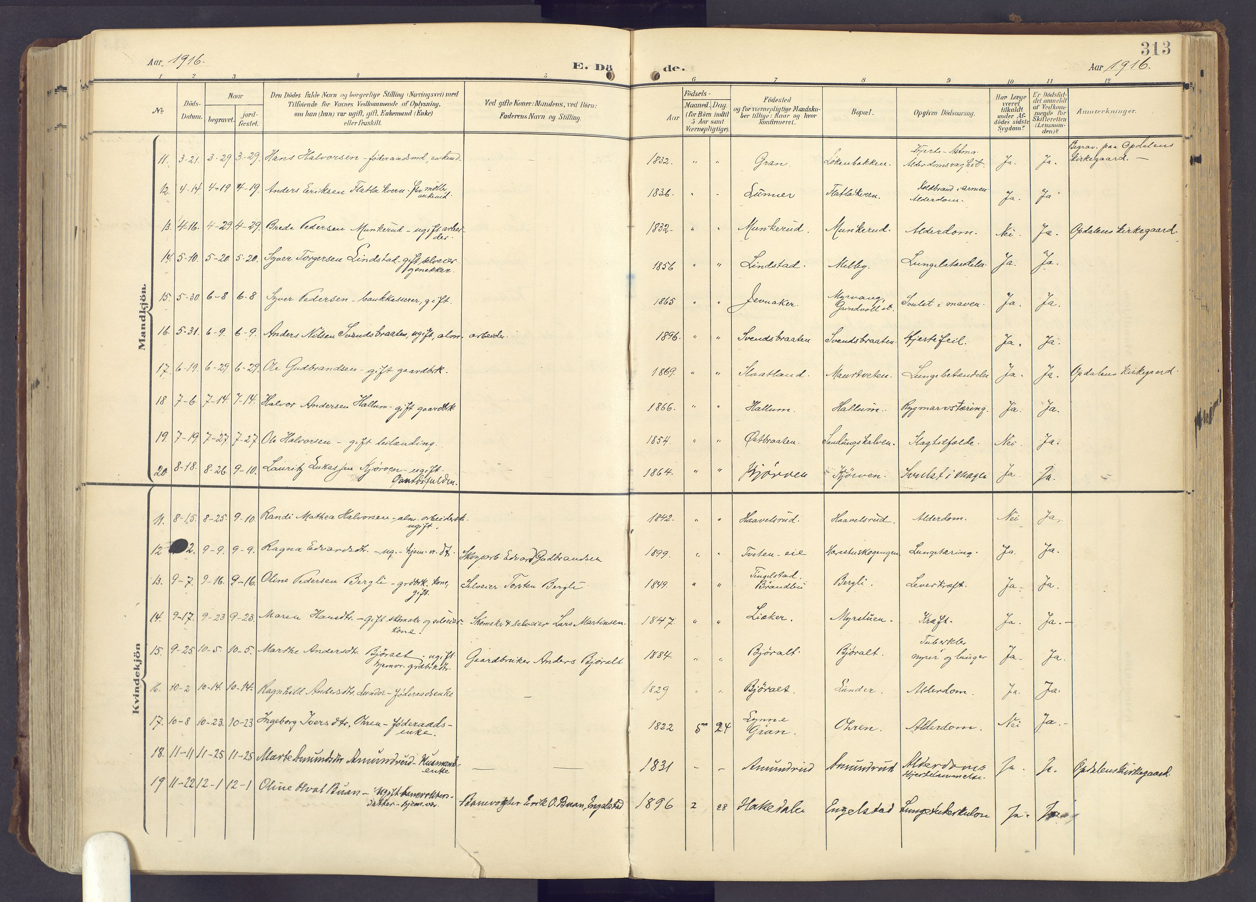 Lunner prestekontor, SAH/PREST-118/H/Ha/Haa/L0001: Ministerialbok nr. 1, 1907-1922, s. 313