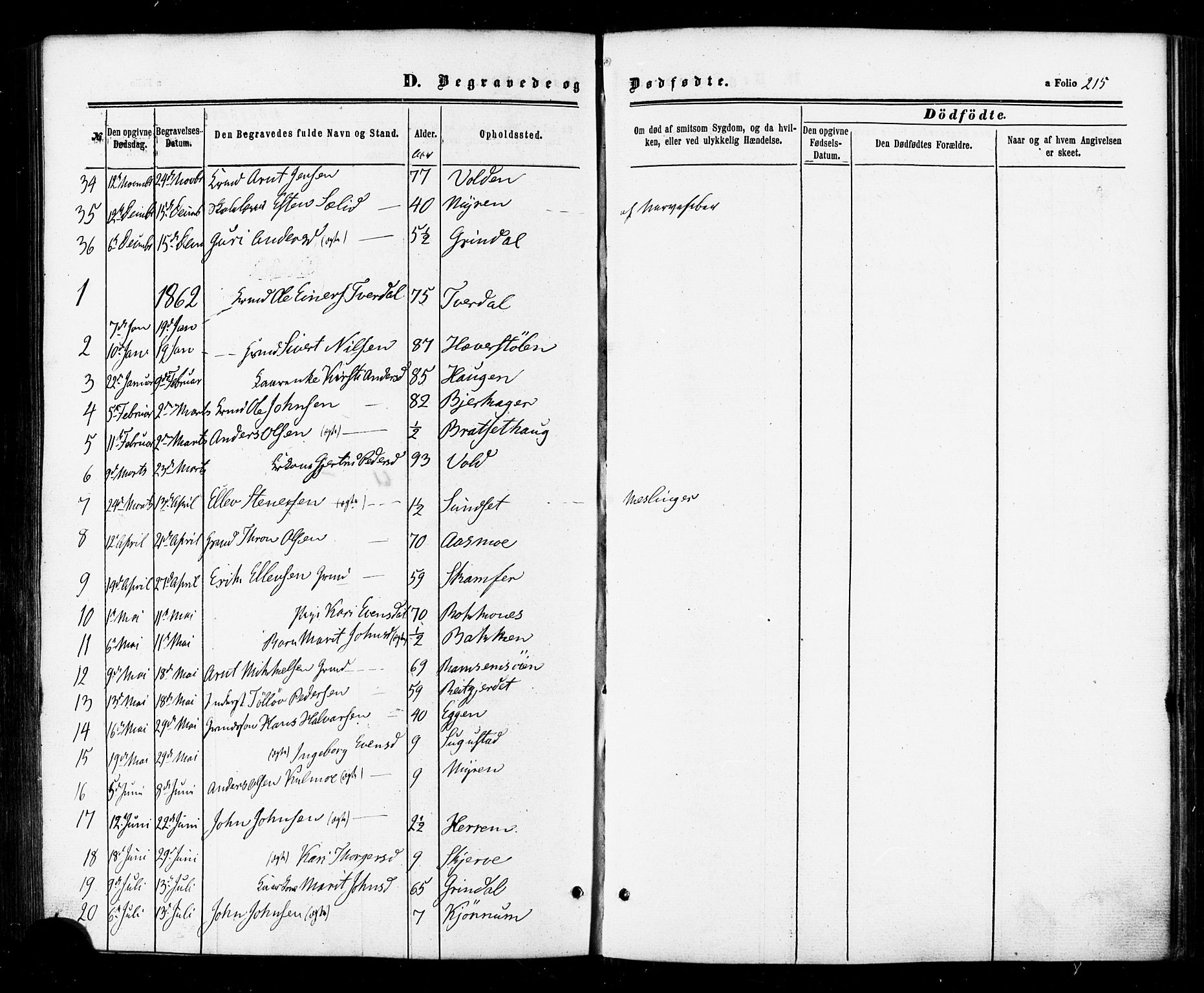 Ministerialprotokoller, klokkerbøker og fødselsregistre - Sør-Trøndelag, AV/SAT-A-1456/674/L0870: Ministerialbok nr. 674A02, 1861-1879, s. 215