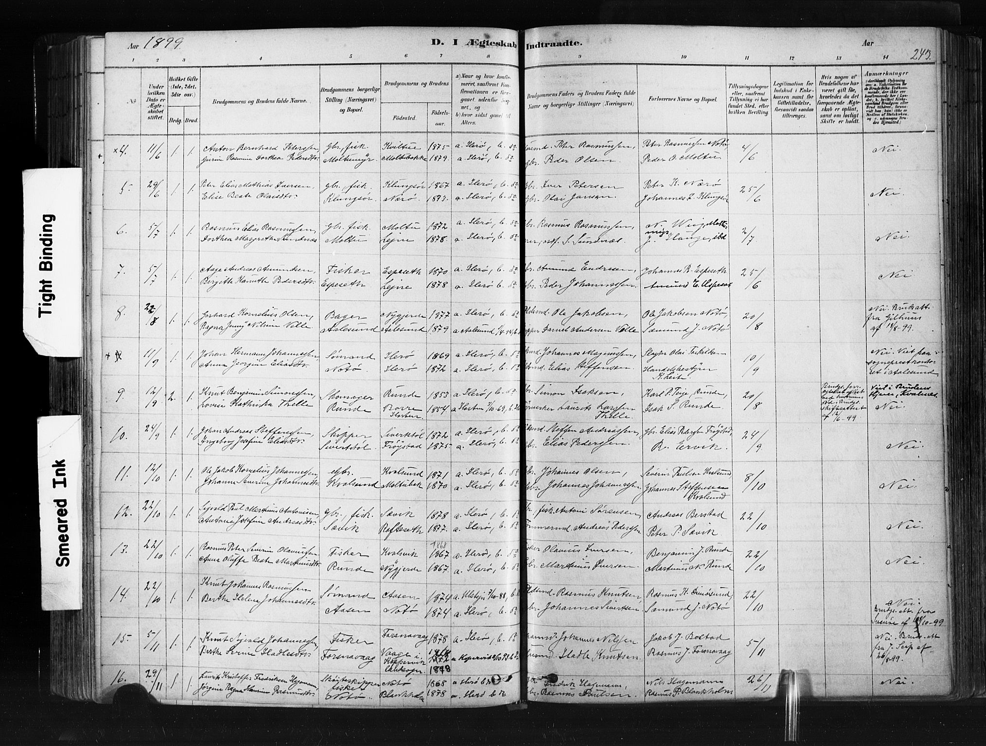 Ministerialprotokoller, klokkerbøker og fødselsregistre - Møre og Romsdal, SAT/A-1454/507/L0073: Ministerialbok nr. 507A08, 1878-1904, s. 243