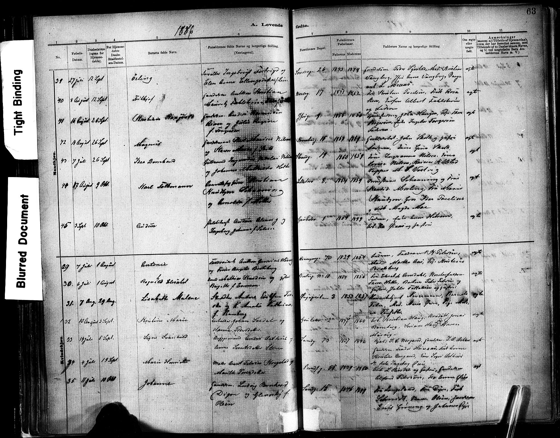 Ministerialprotokoller, klokkerbøker og fødselsregistre - Sør-Trøndelag, AV/SAT-A-1456/602/L0119: Ministerialbok nr. 602A17, 1880-1901, s. 63