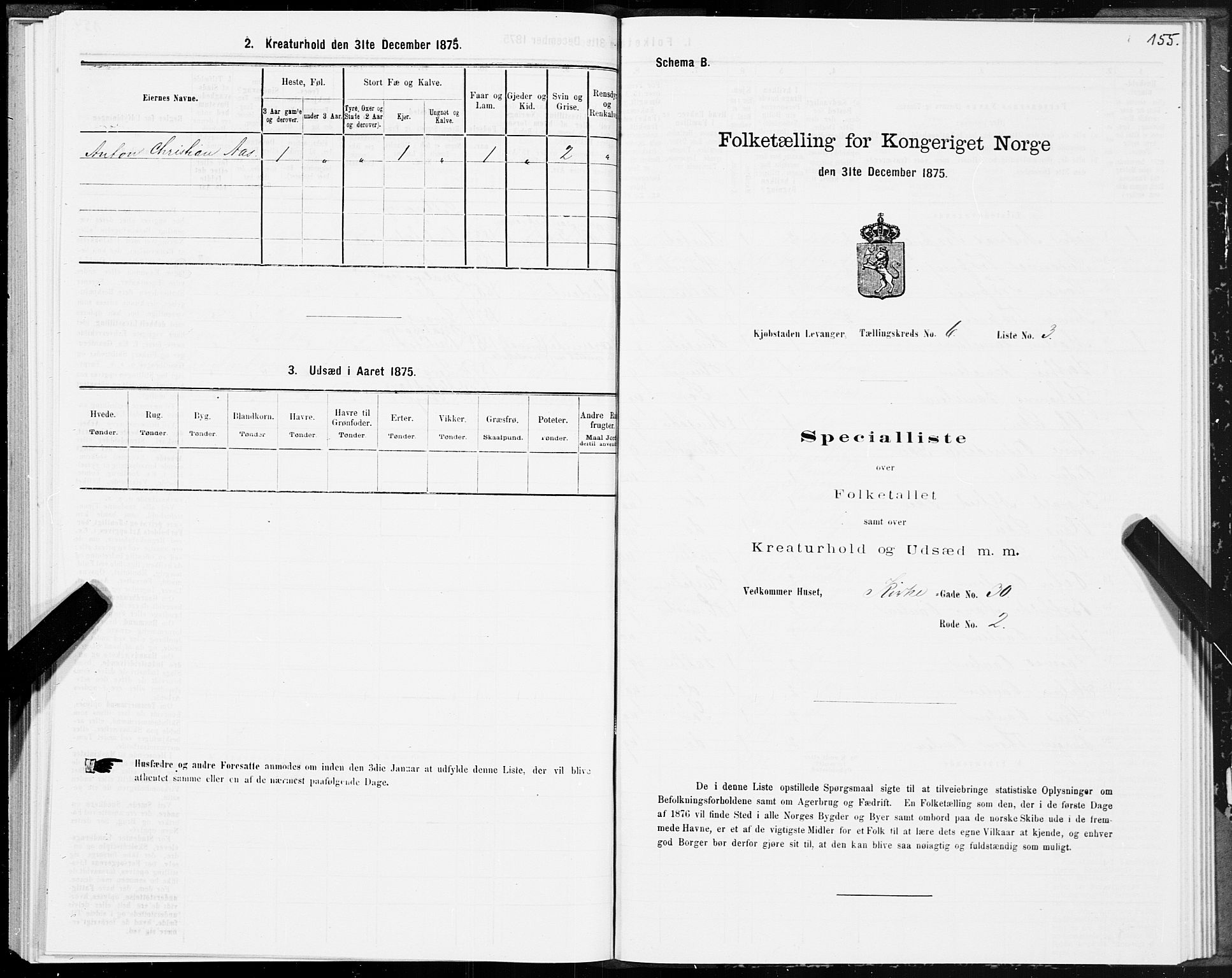 SAT, Folketelling 1875 for 1701B Levanger prestegjeld, Levanger kjøpstad, 1875, s. 155