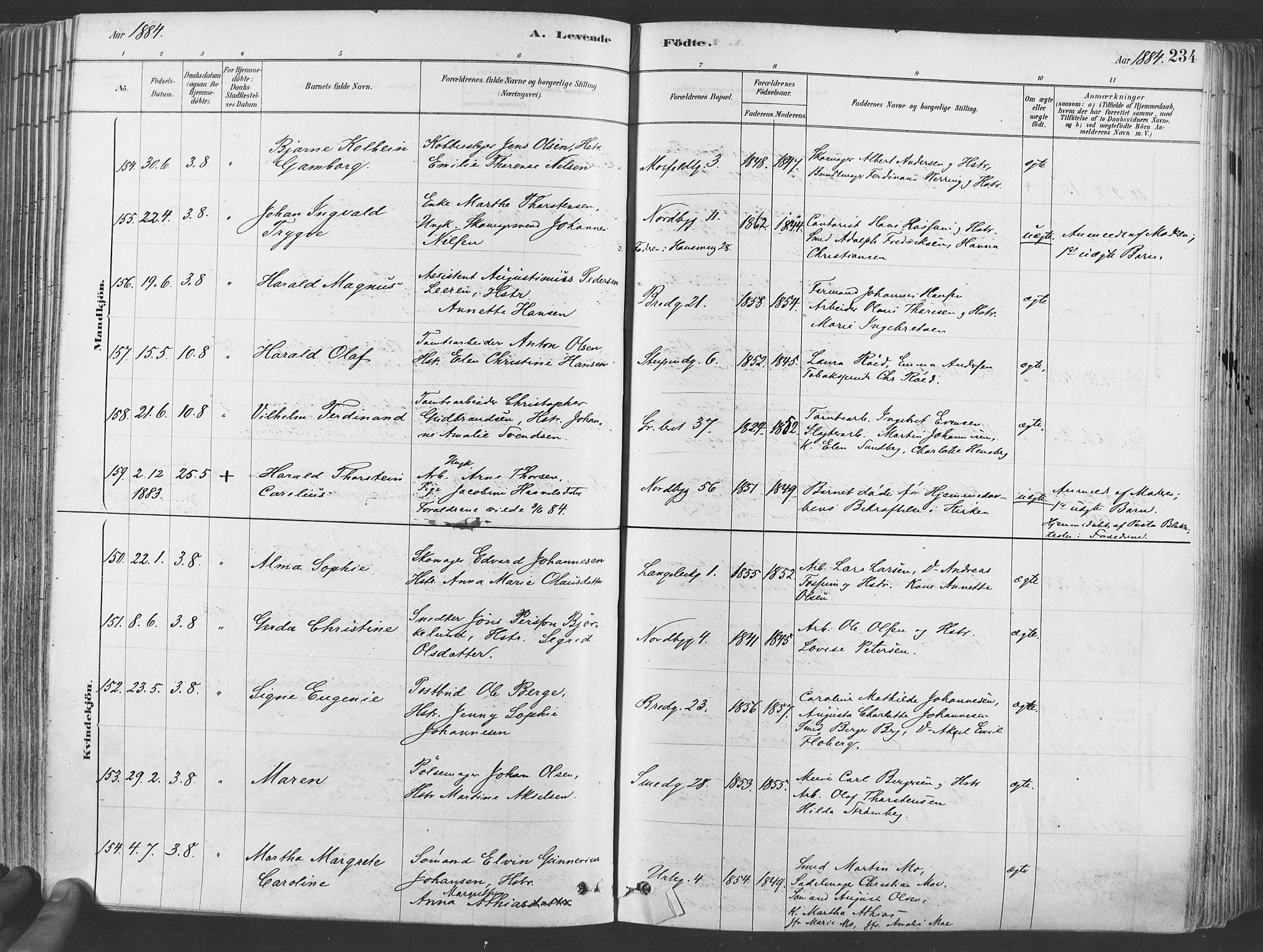 Grønland prestekontor Kirkebøker, SAO/A-10848/F/Fa/L0007: Ministerialbok nr. 7, 1878-1888, s. 234