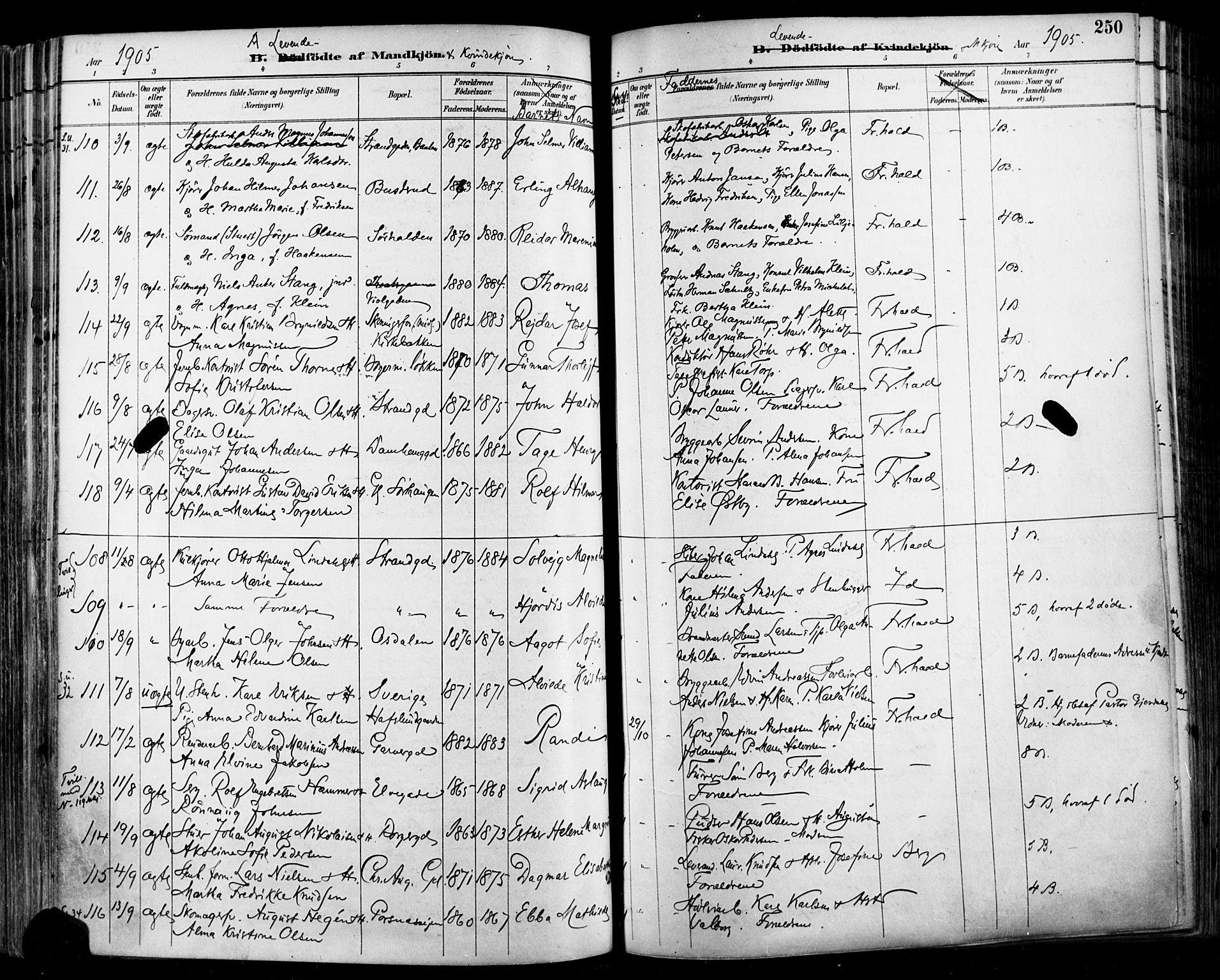 Halden prestekontor Kirkebøker, AV/SAO-A-10909/F/Fa/L0013: Ministerialbok nr. I 13, 1890-1906, s. 250