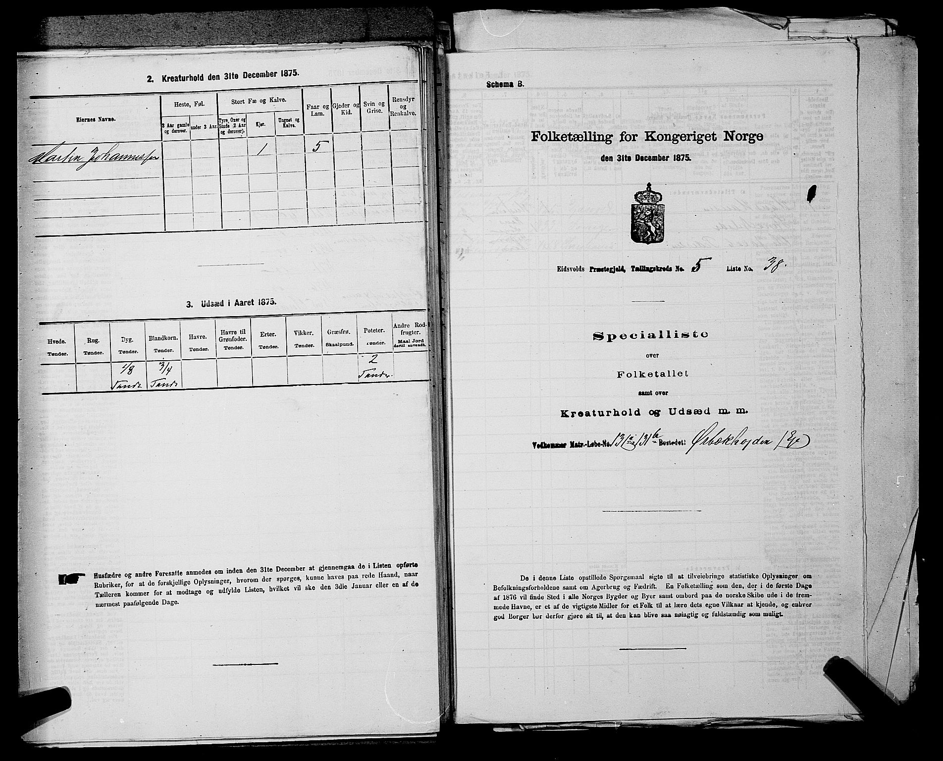 RA, Folketelling 1875 for 0237P Eidsvoll prestegjeld, 1875, s. 815