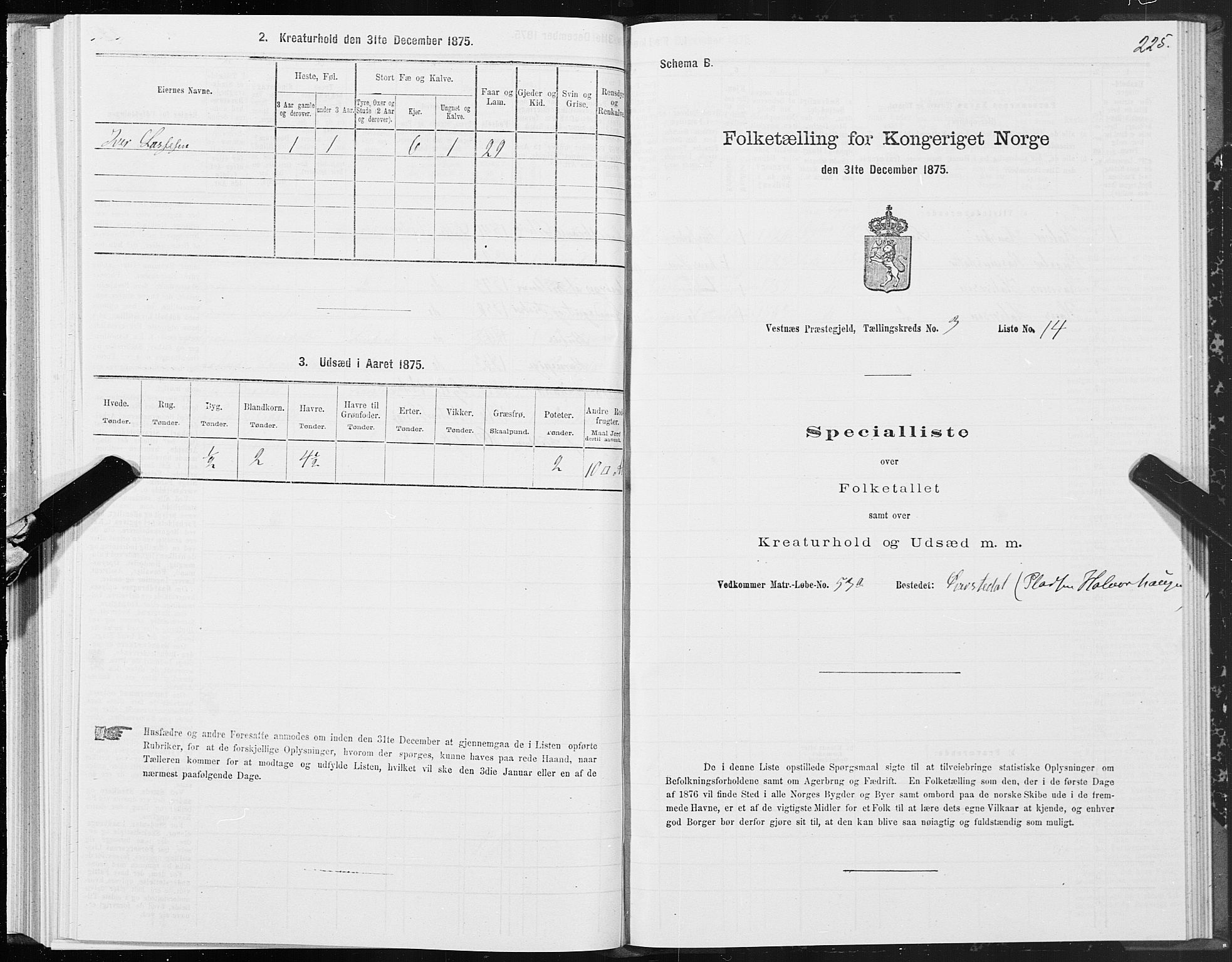 SAT, Folketelling 1875 for 1535P Vestnes prestegjeld, 1875, s. 1225