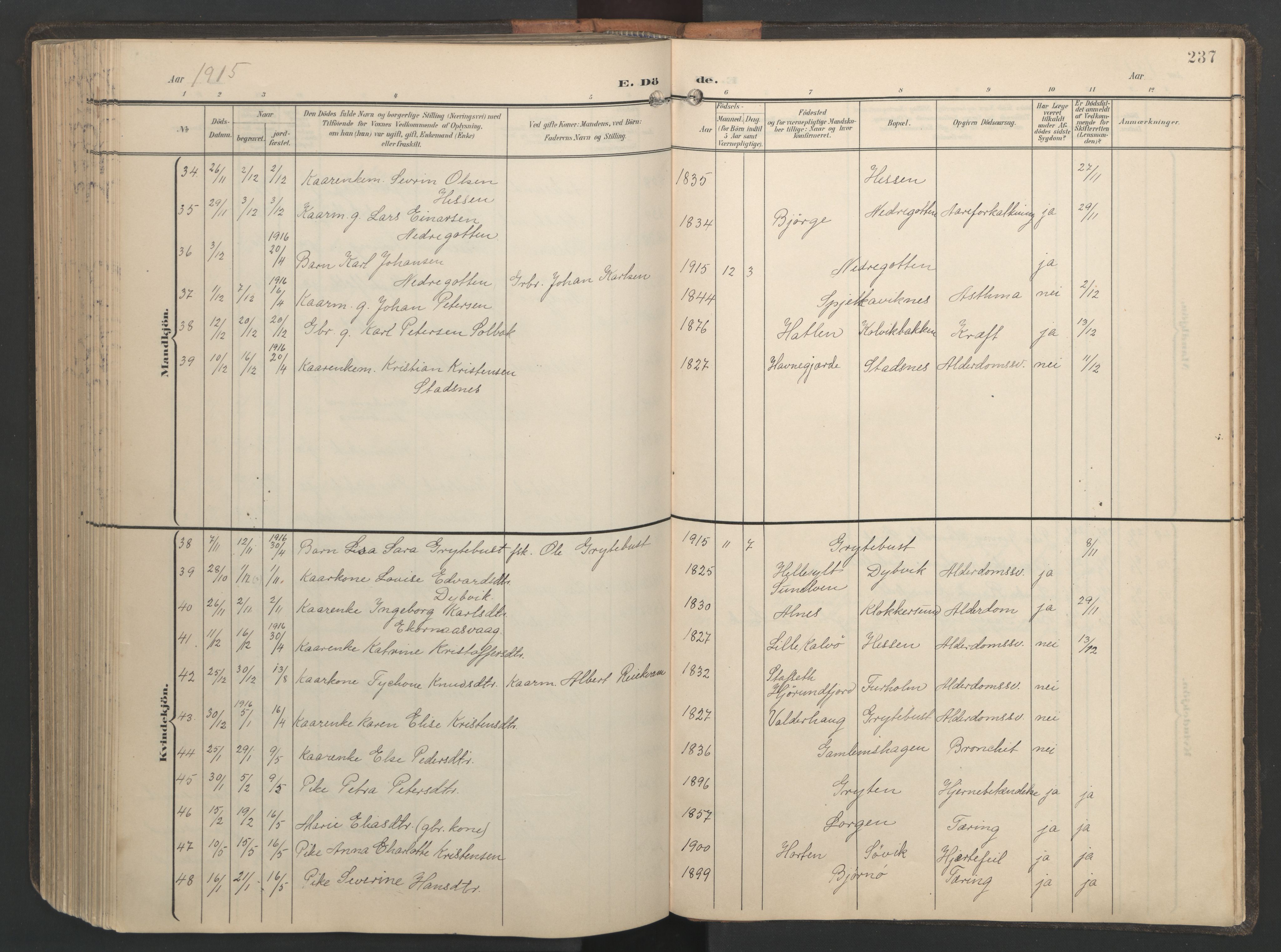 Ministerialprotokoller, klokkerbøker og fødselsregistre - Møre og Romsdal, AV/SAT-A-1454/528/L0433: Klokkerbok nr. 528C14, 1899-1922, s. 237