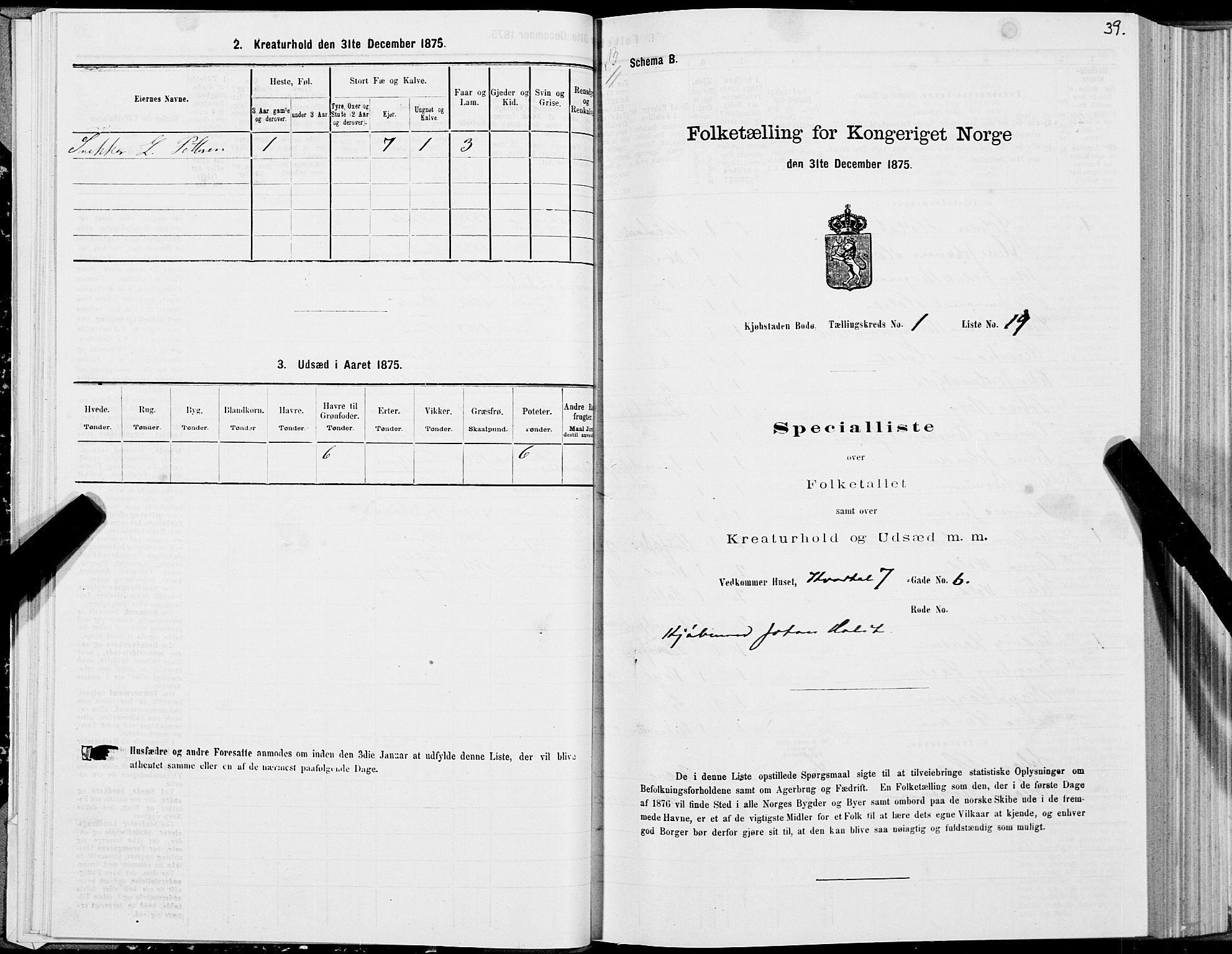 SAT, Folketelling 1875 for 1804B Bodø prestegjeld, Bodø kjøpstad, 1875, s. 39