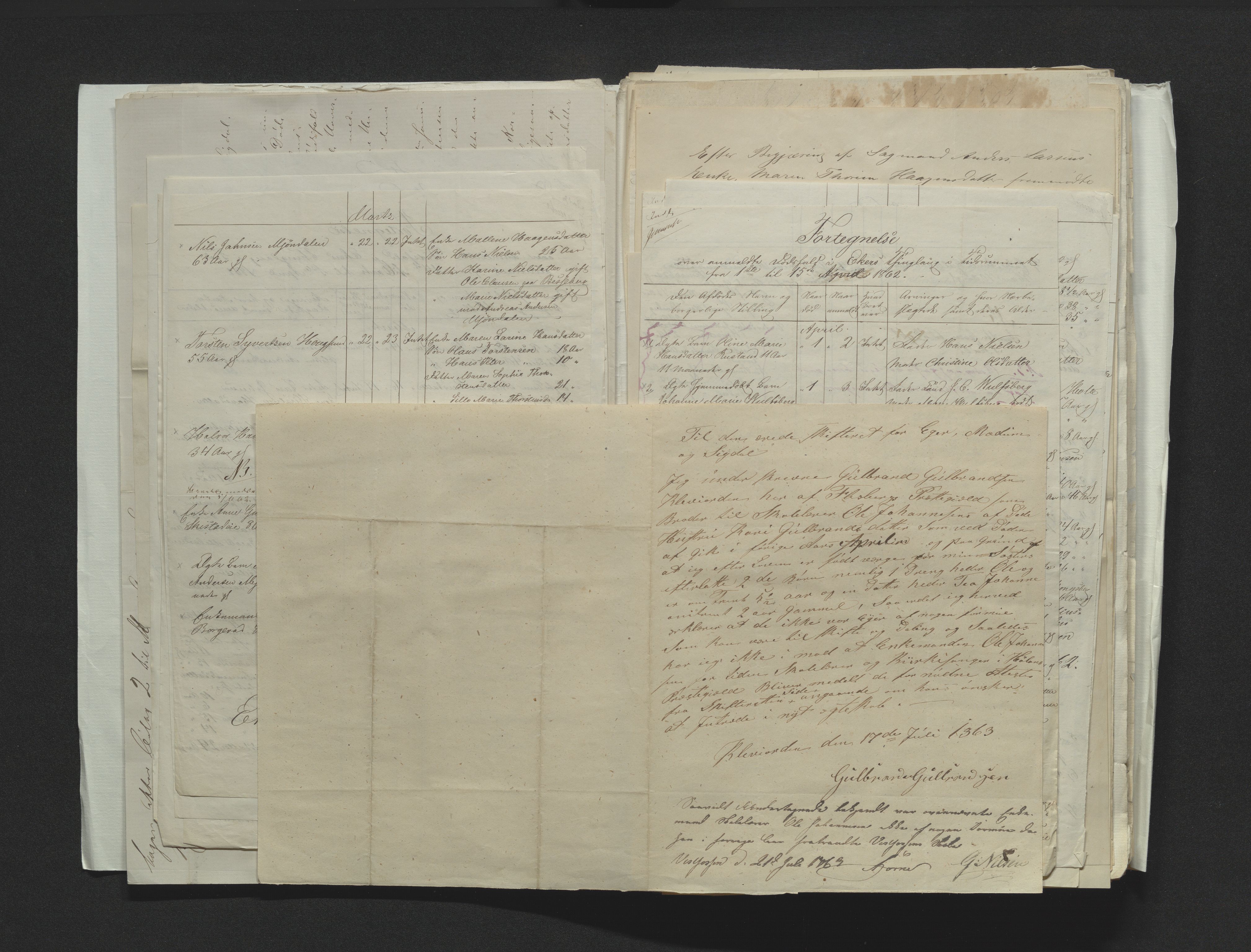 Eiker, Modum og Sigdal sorenskriveri, AV/SAKO-A-123/H/Ha/Hab/L0011: Dødsfallsmeldinger, 1862-1865, s. 19