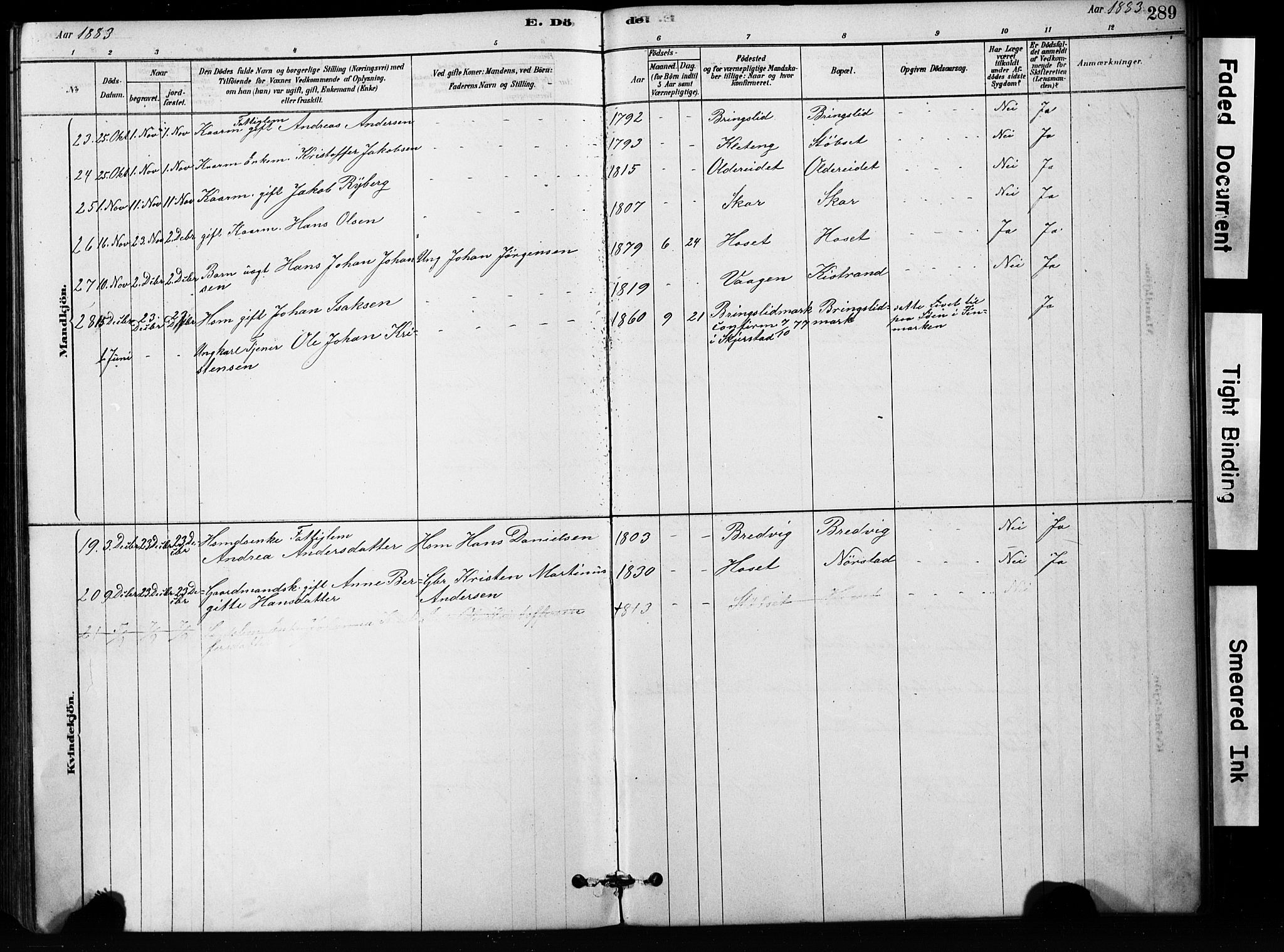 Ministerialprotokoller, klokkerbøker og fødselsregistre - Nordland, AV/SAT-A-1459/852/L0754: Klokkerbok nr. 852C05, 1878-1894, s. 289