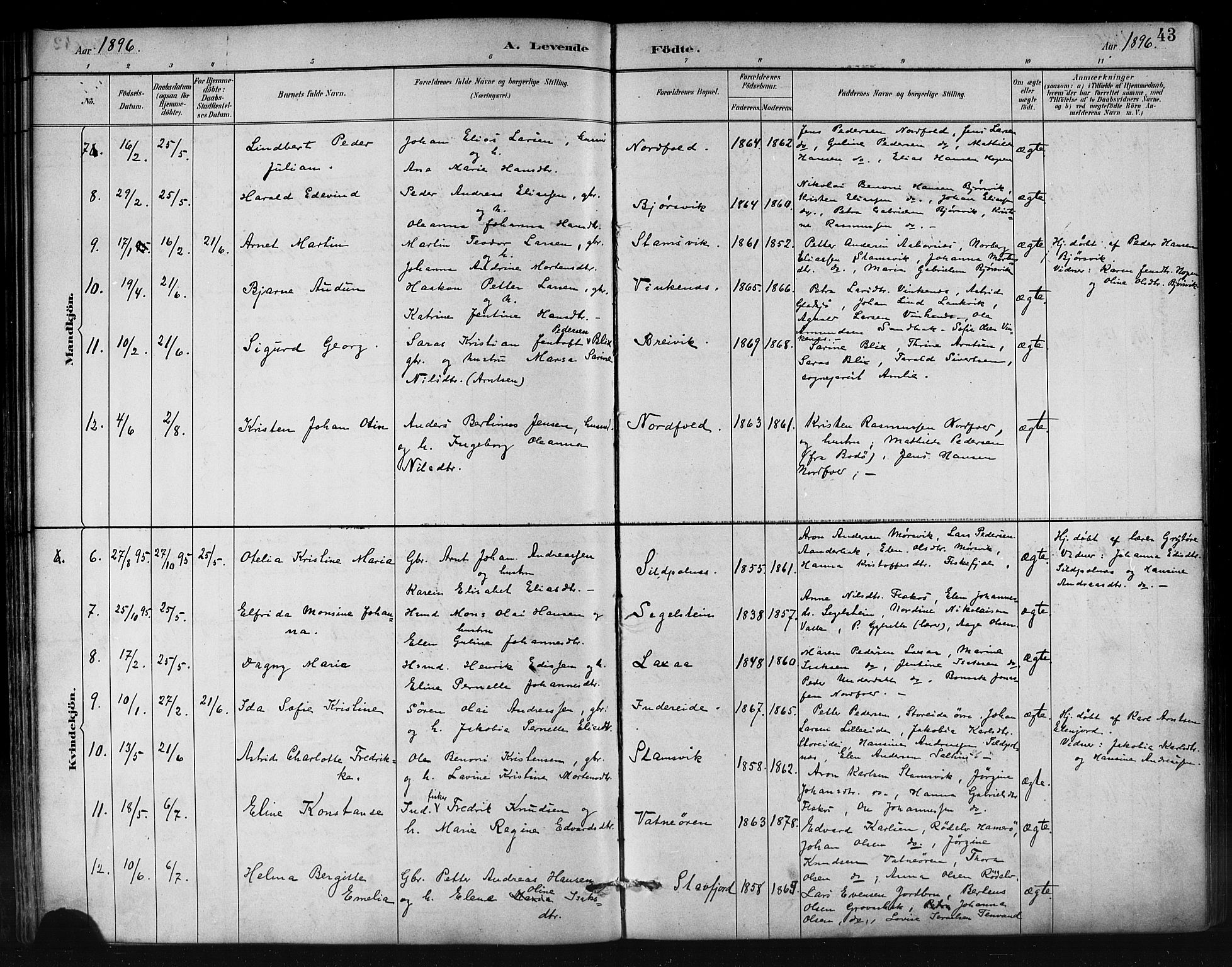 Ministerialprotokoller, klokkerbøker og fødselsregistre - Nordland, AV/SAT-A-1459/858/L0831: Ministerialbok nr. 858A01, 1884-1902, s. 43