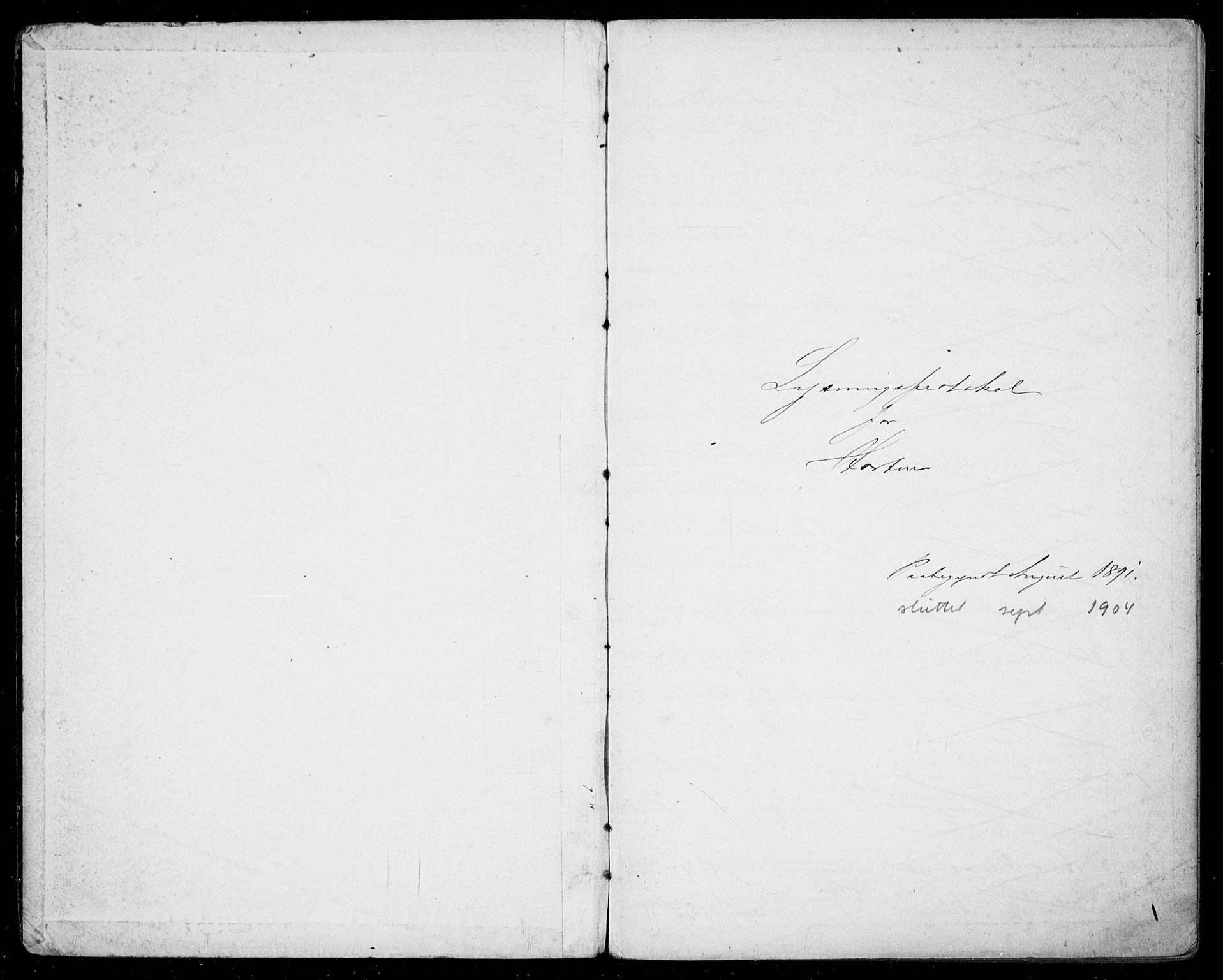 Horten kirkebøker, SAKO/A-348/H/Ha/L0003: Lysningsprotokoll nr. 3, 1891-1904