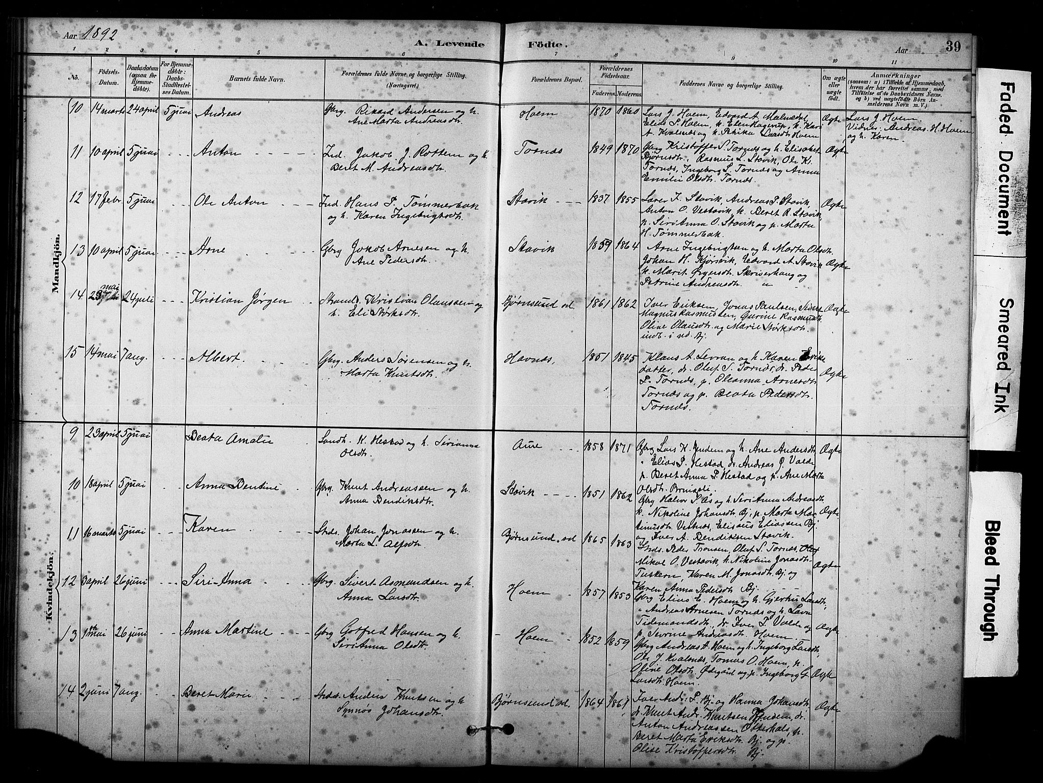 Ministerialprotokoller, klokkerbøker og fødselsregistre - Møre og Romsdal, AV/SAT-A-1454/565/L0755: Klokkerbok nr. 565C04, 1883-1903, s. 39