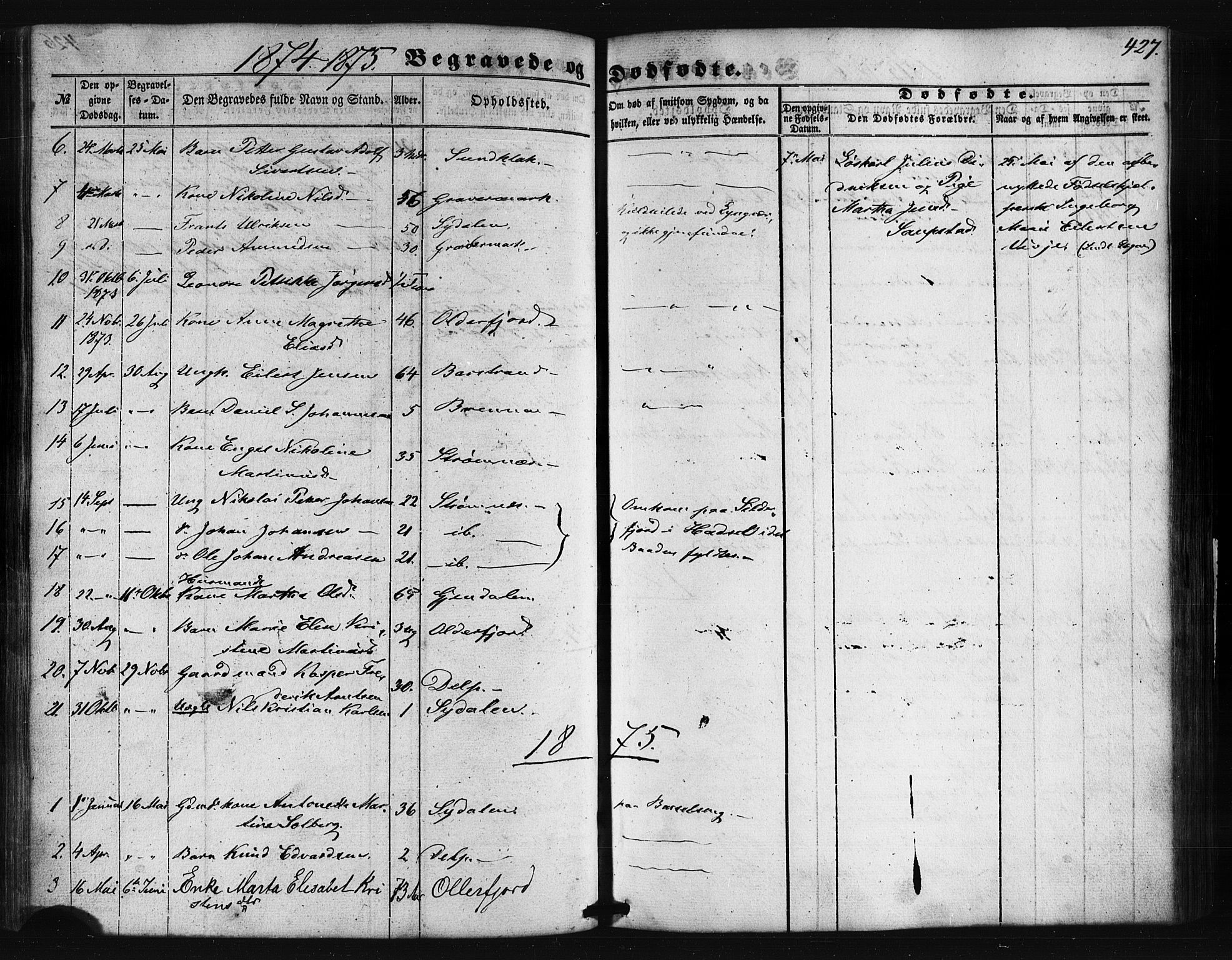 Ministerialprotokoller, klokkerbøker og fødselsregistre - Nordland, SAT/A-1459/876/L1095: Ministerialbok nr. 876A01, 1863-1885, s. 427